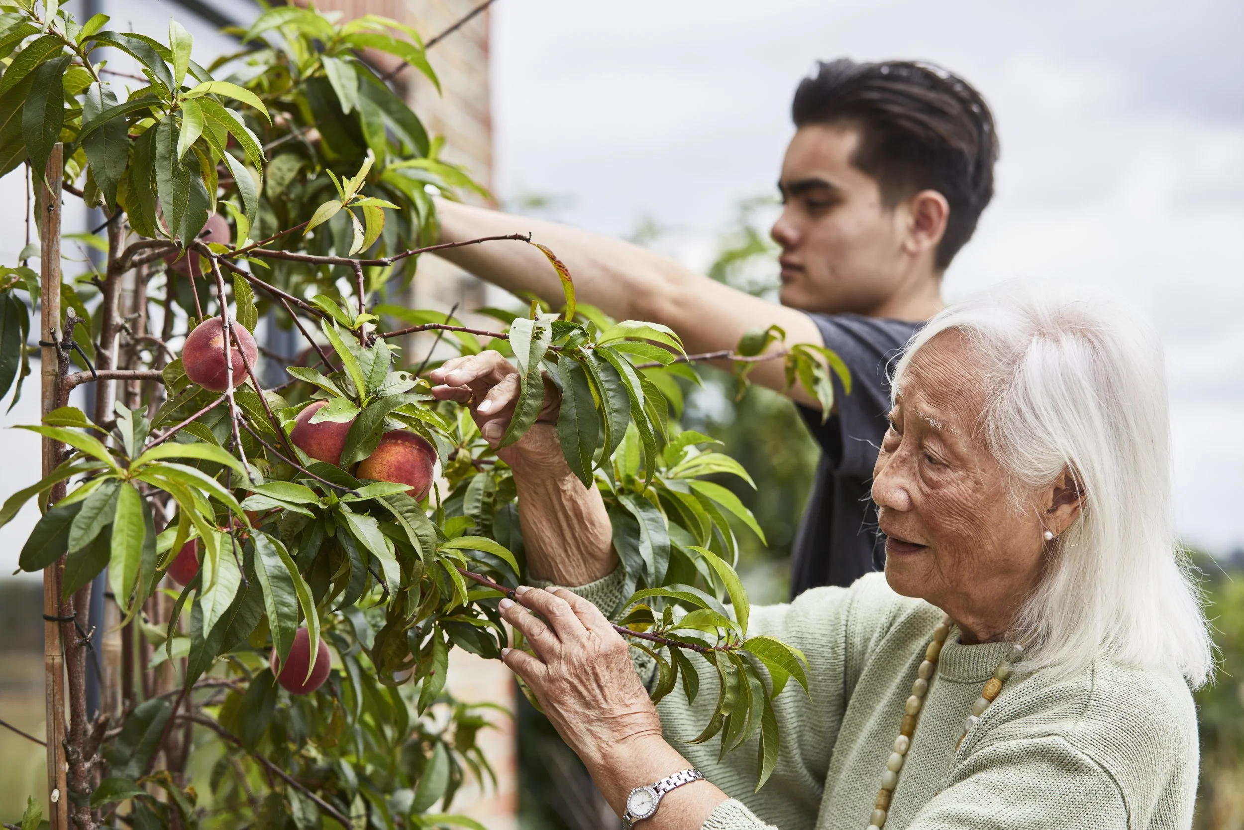 The Clan Trust helps bring hope to people affected by dementia in Norfolk.