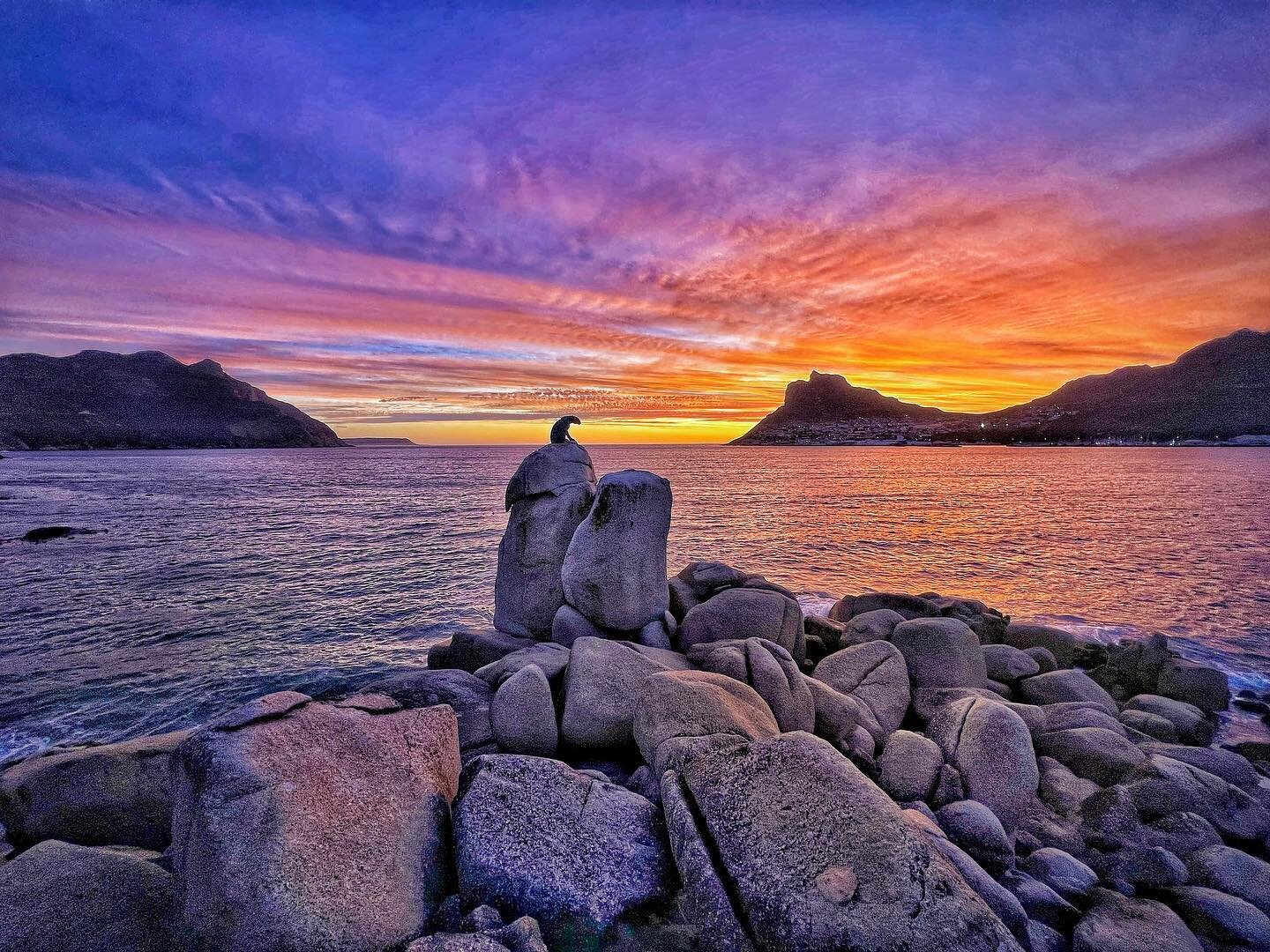 Dreamscape #chapmanspeak #oceanbliss #purpleheart #bluehourphotography