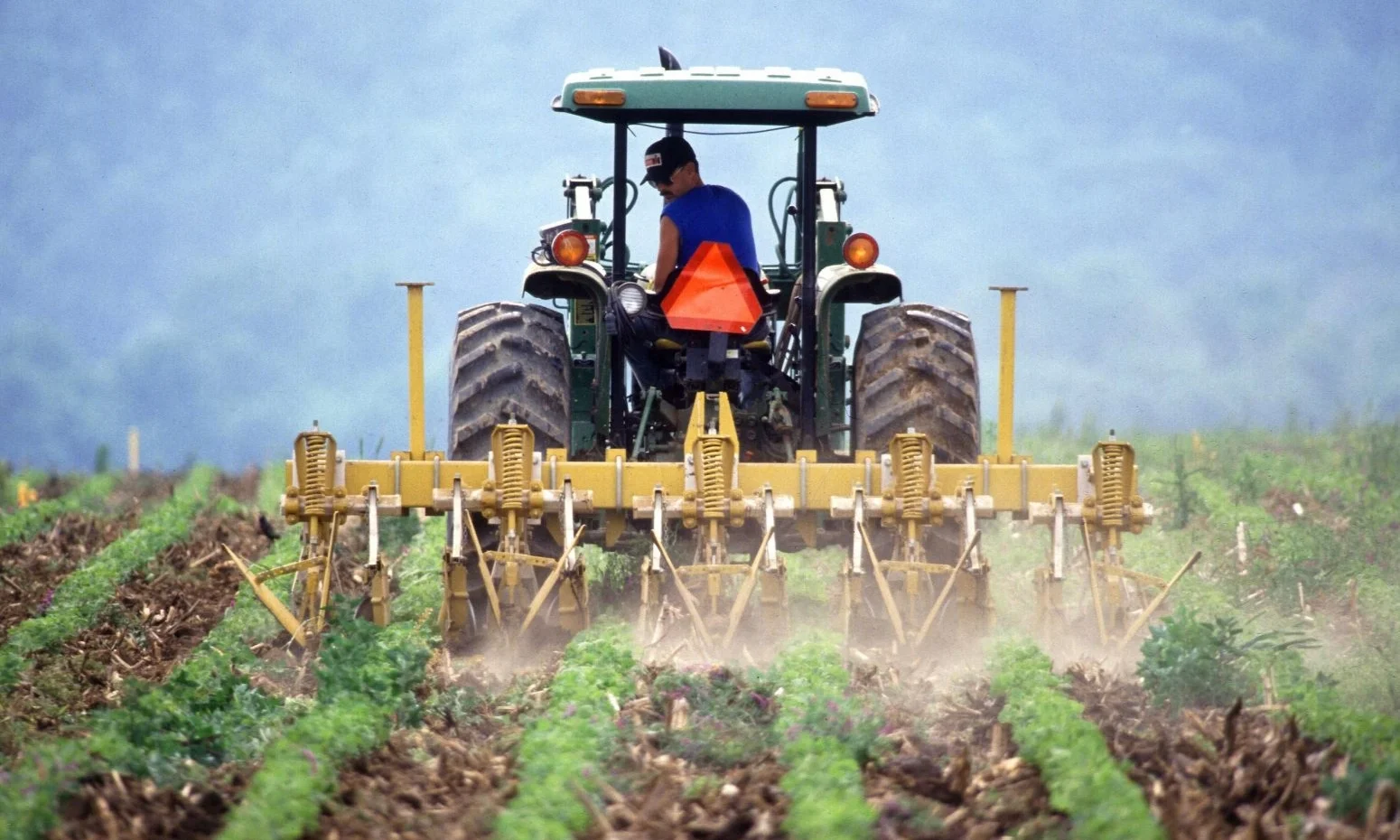 agri 1.jpg