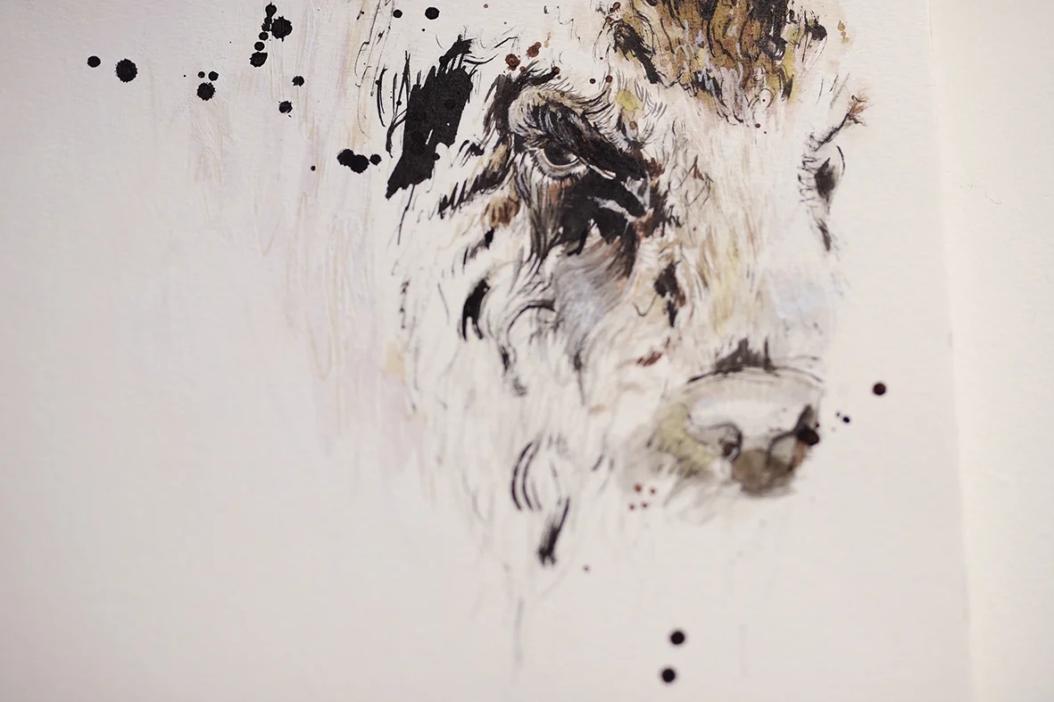 Study on Bison I