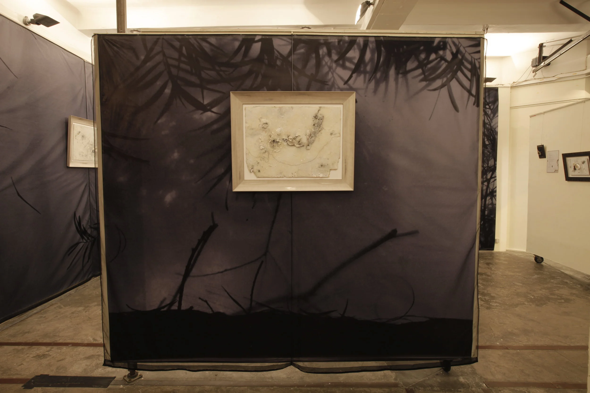 Calm Before the Storm 6