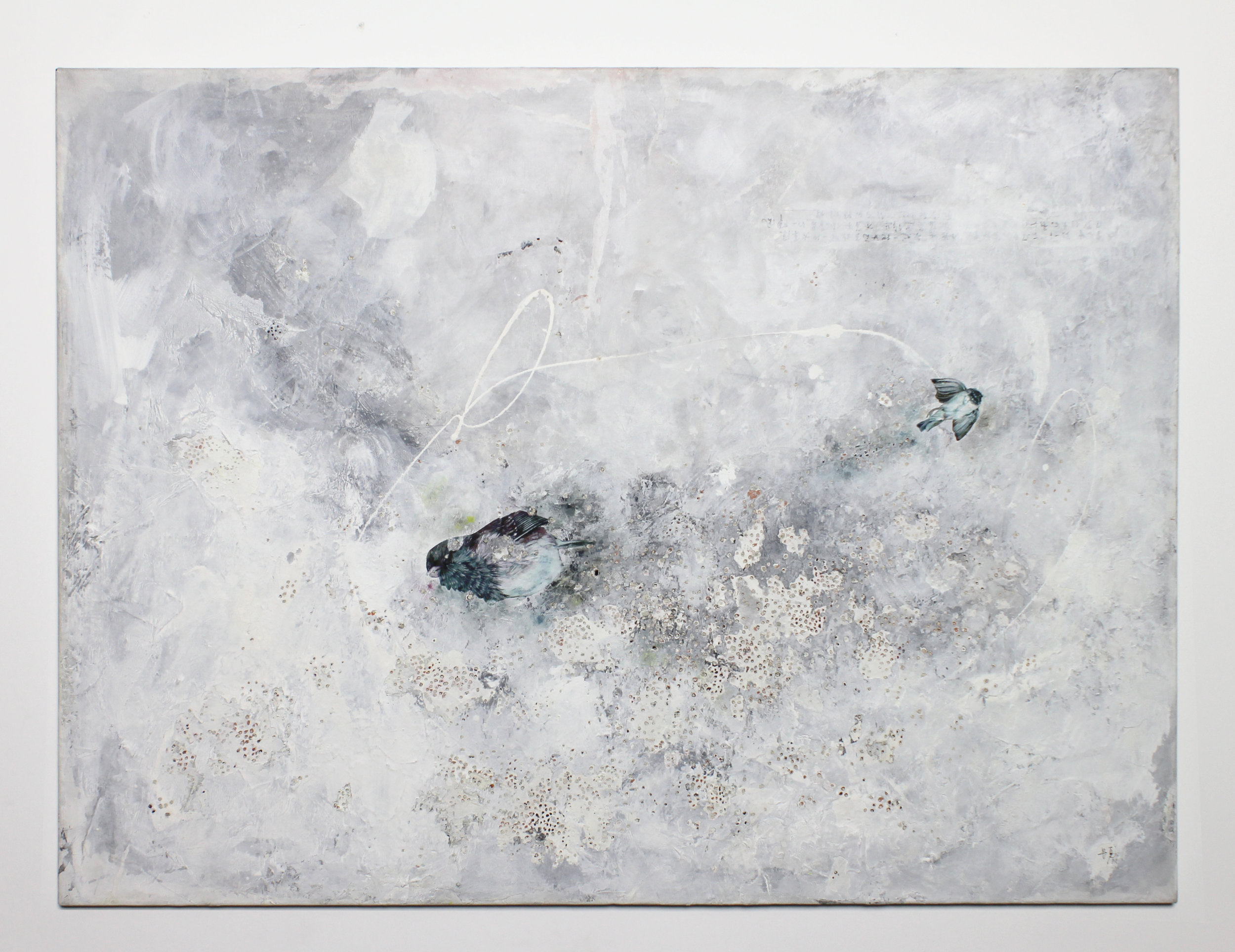 Claire Lee_The Weight of a Feather2_2009_Mixed media on canvas_760x1010mm.jpg