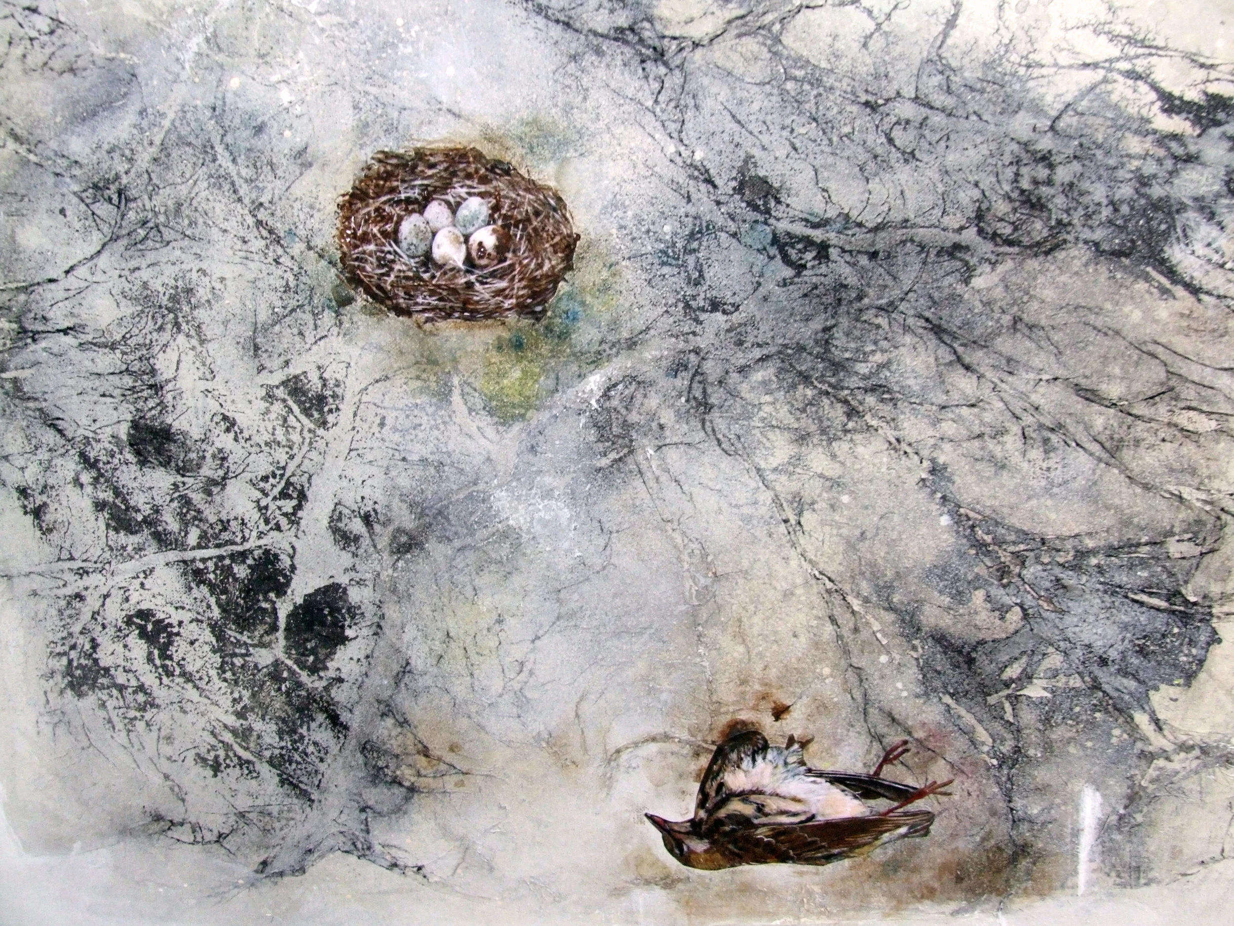 closeup 15.jpg