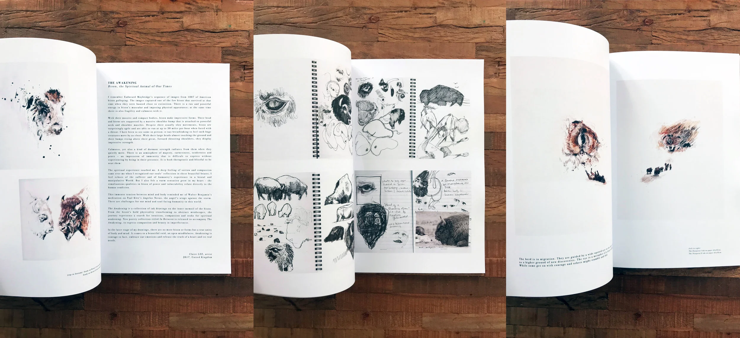 The Awakening - Art Book