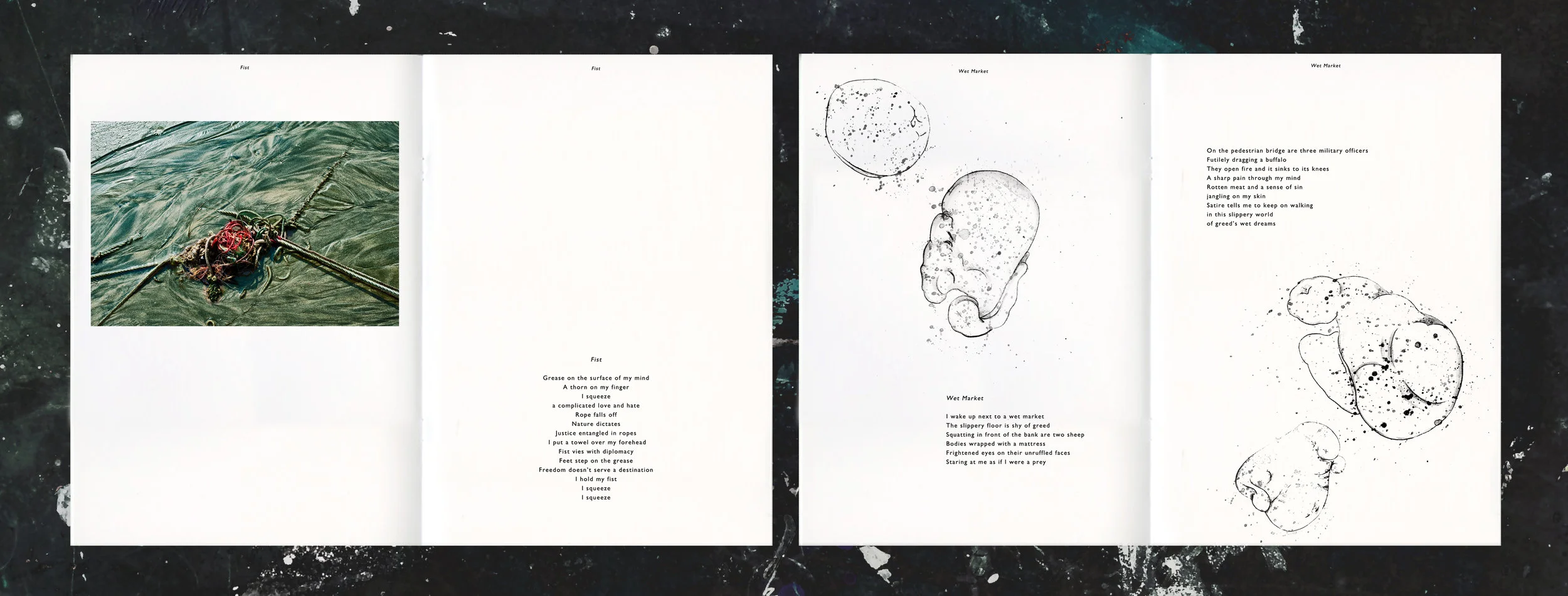 Book content pages.jpg