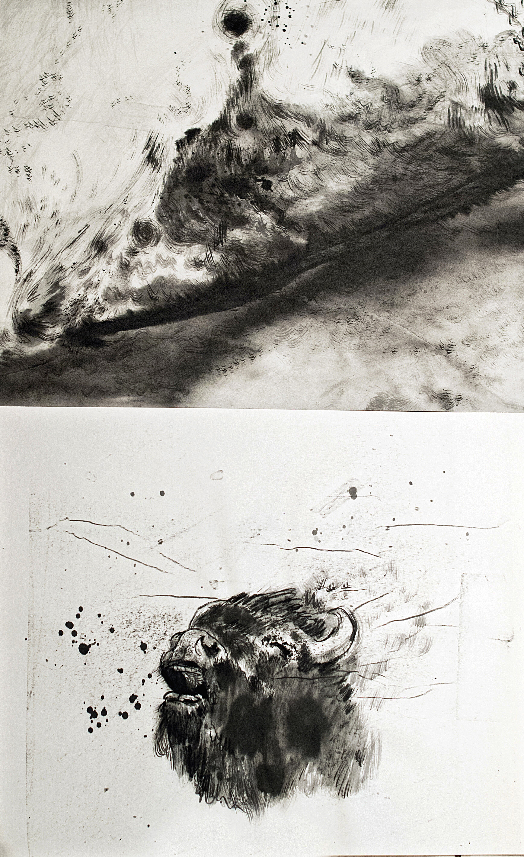 World on Fire I / Cry of a Bison I