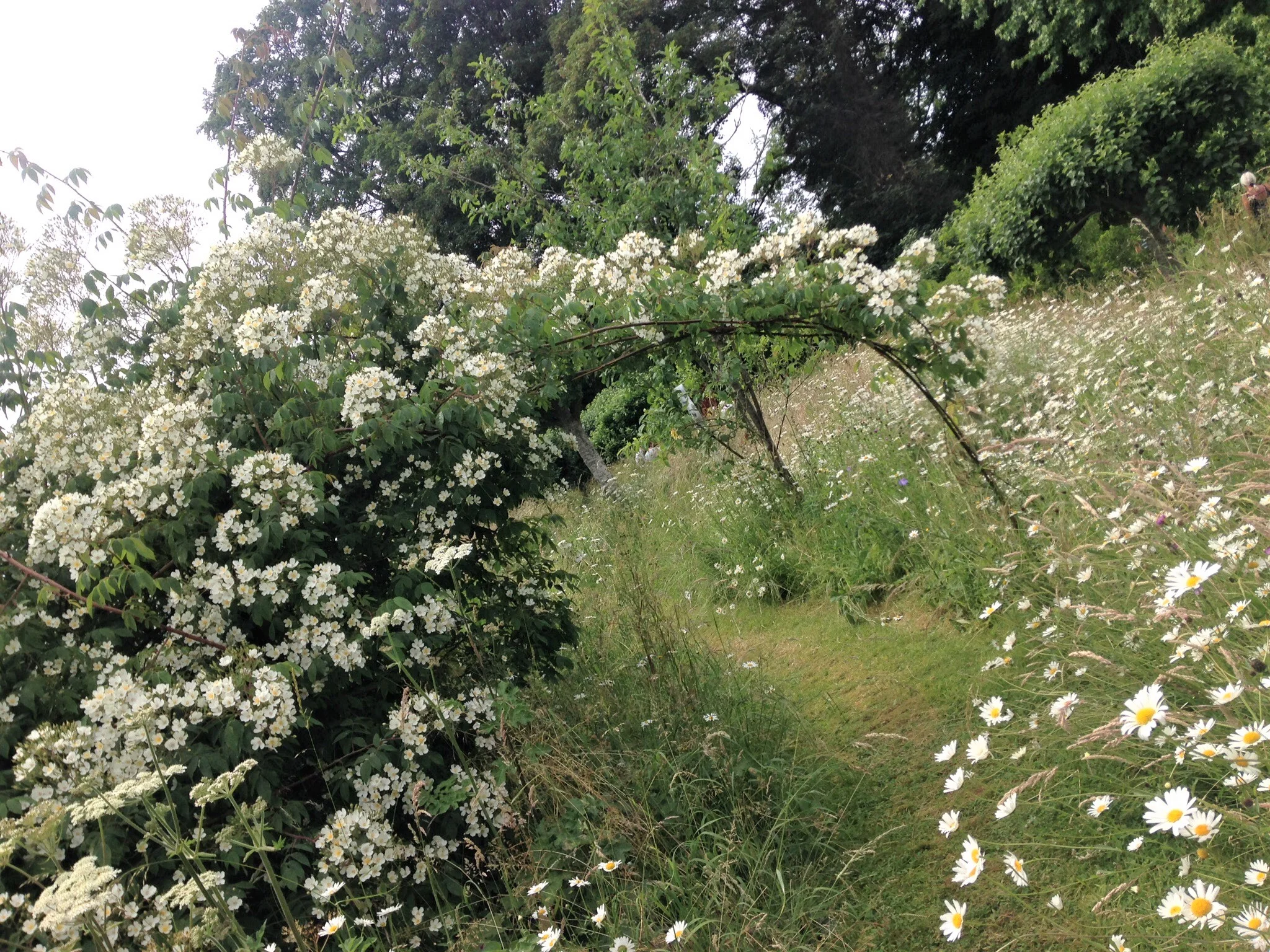 The beautiful Asthall Manor