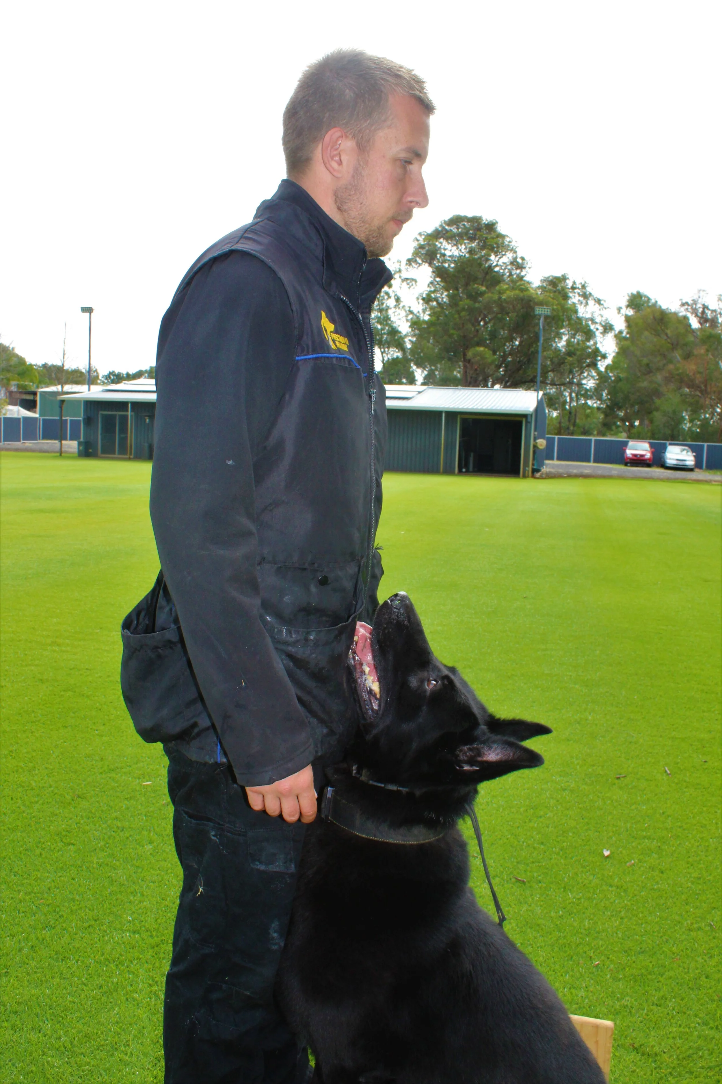 Precision K9 Training