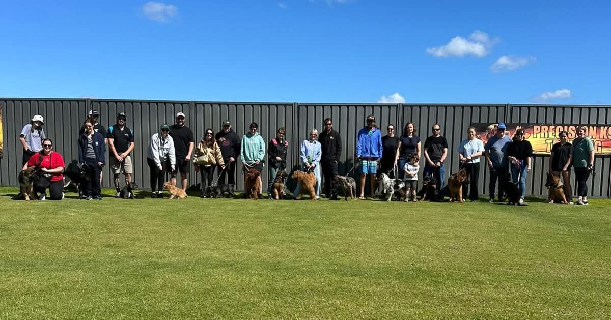 Group Obedience Classes