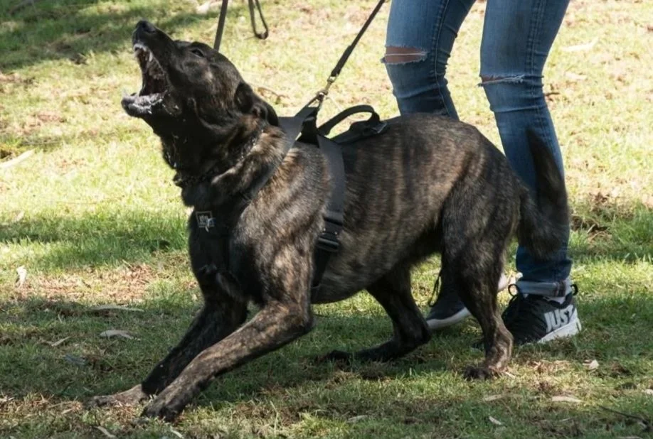 Behaviour Modification