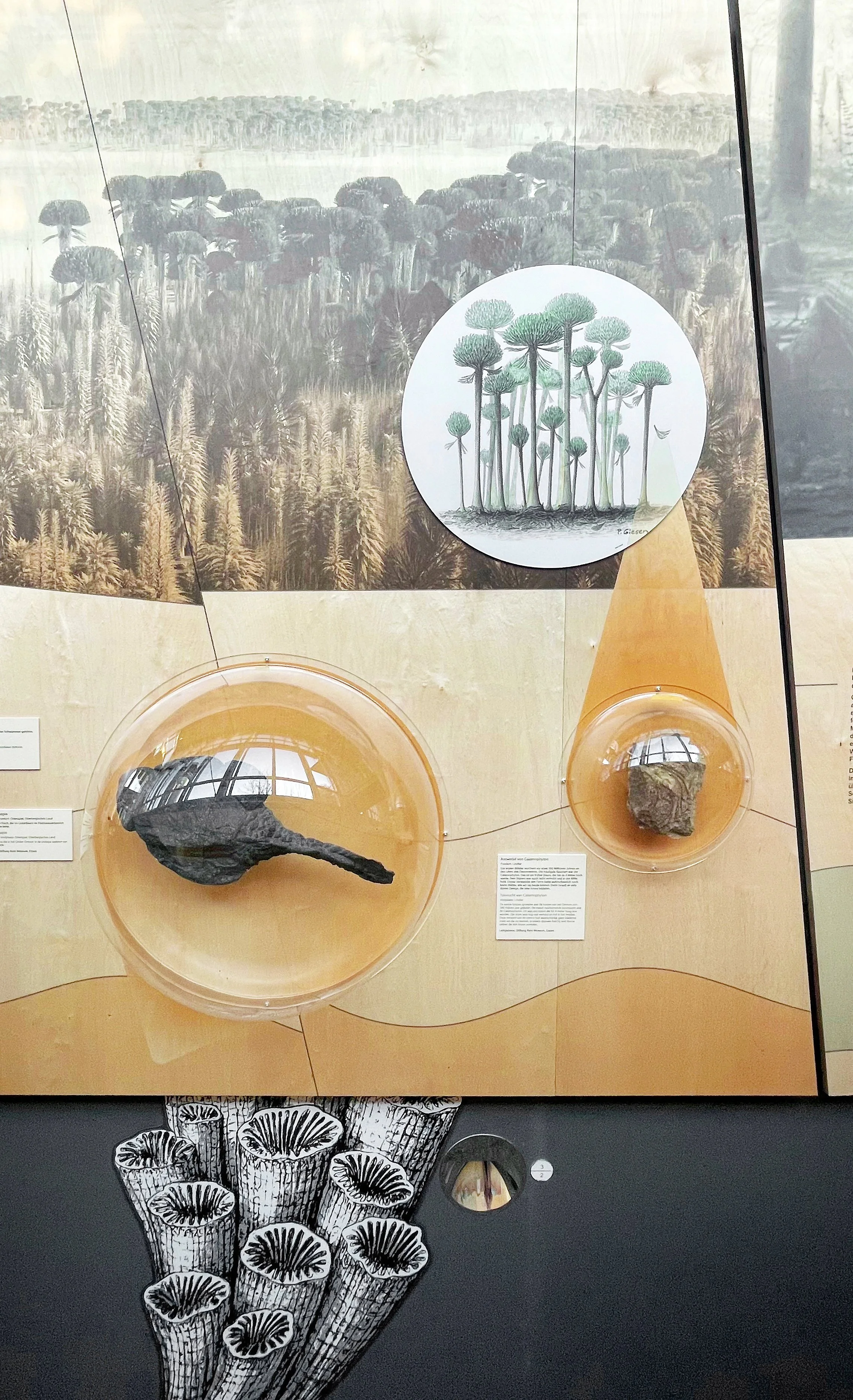 niederrheinmuseum-coordination-geopark-umgang-11.jpg