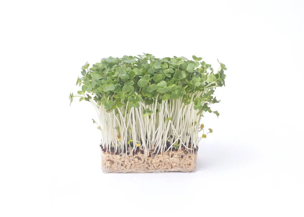 Cress.jpg