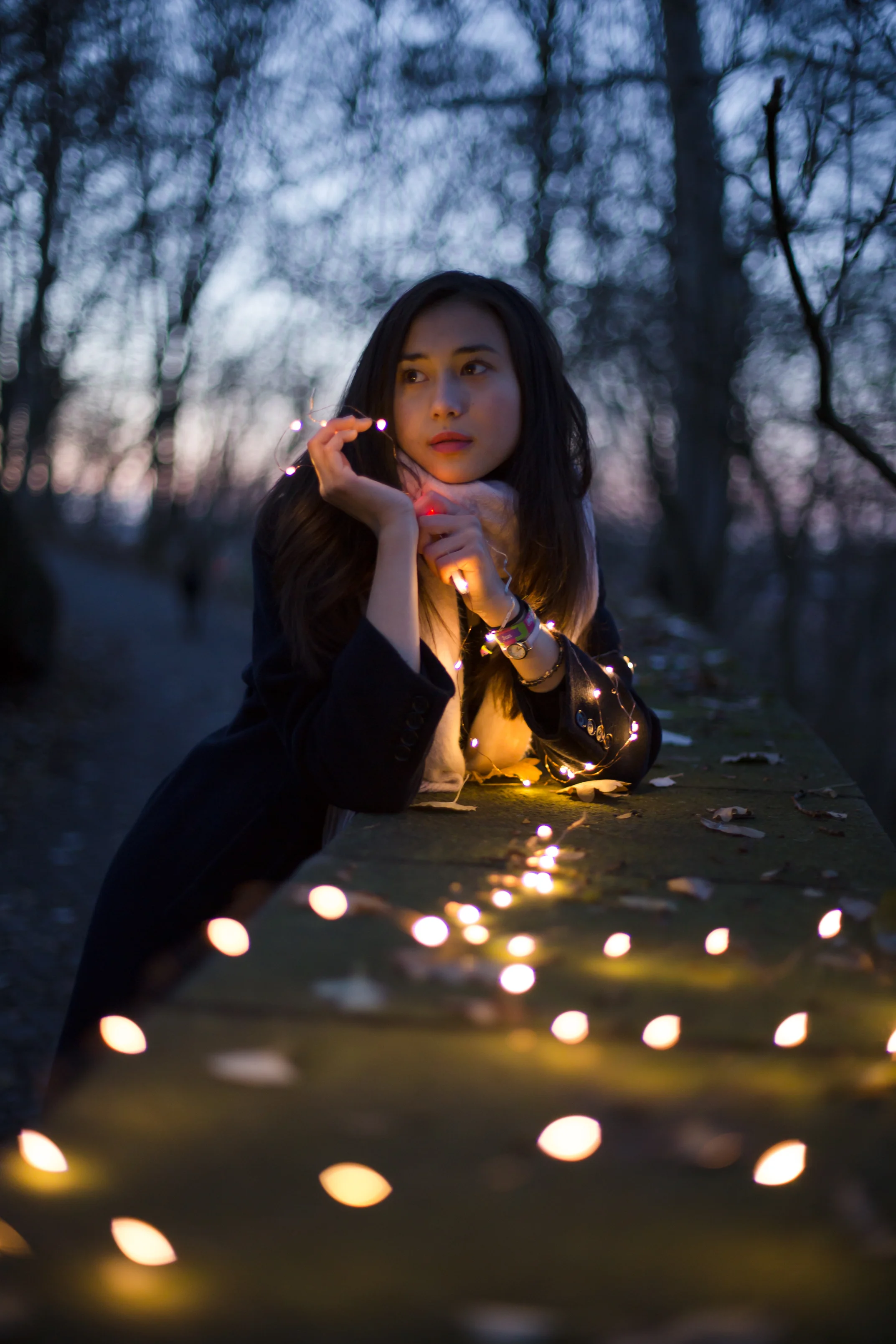 julialights2.jpg