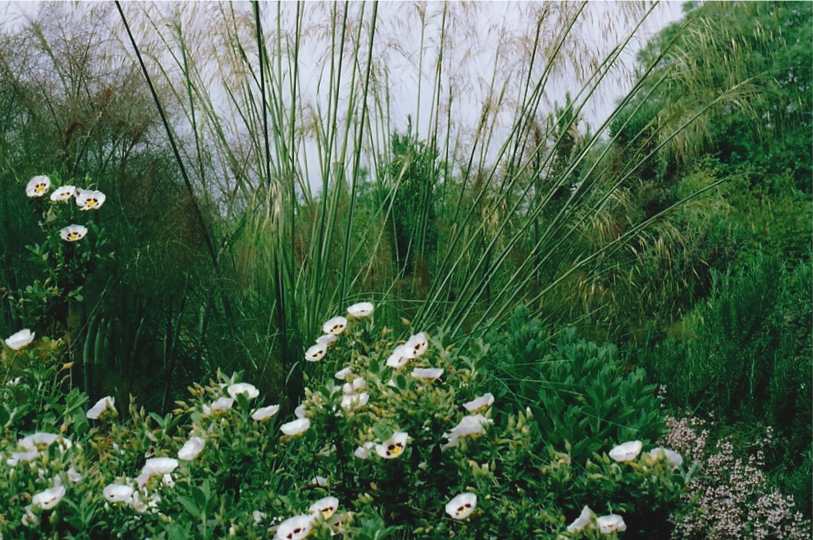 Yoxford8.jpg