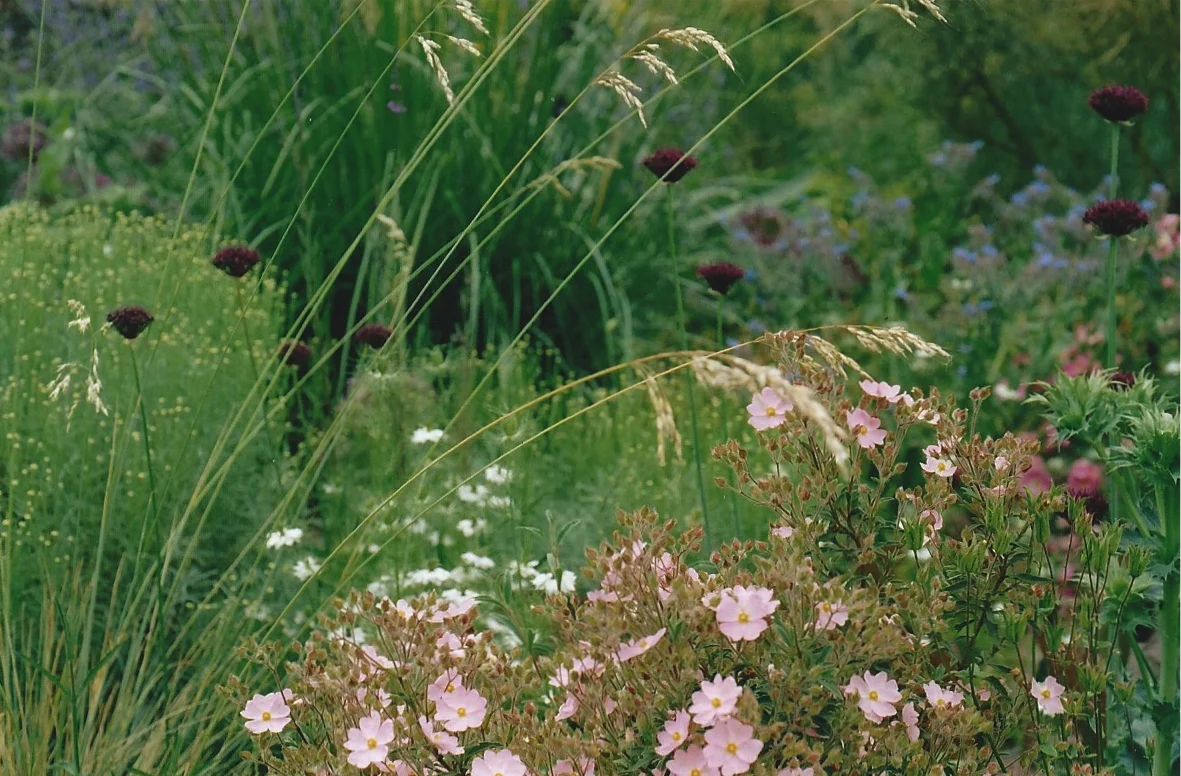 Pic3.jpg