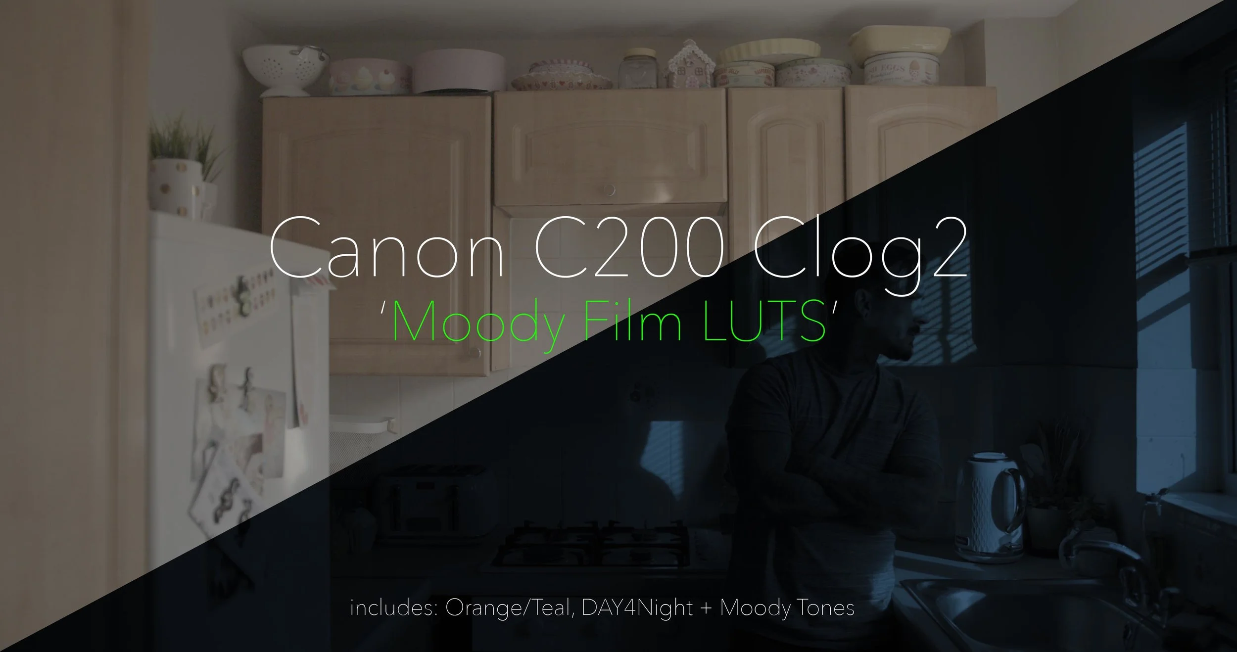 Canon C-LOG Moody Film LUTS
