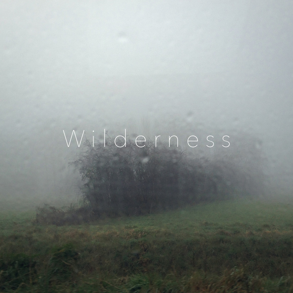 Wilderness - 16 Tracks