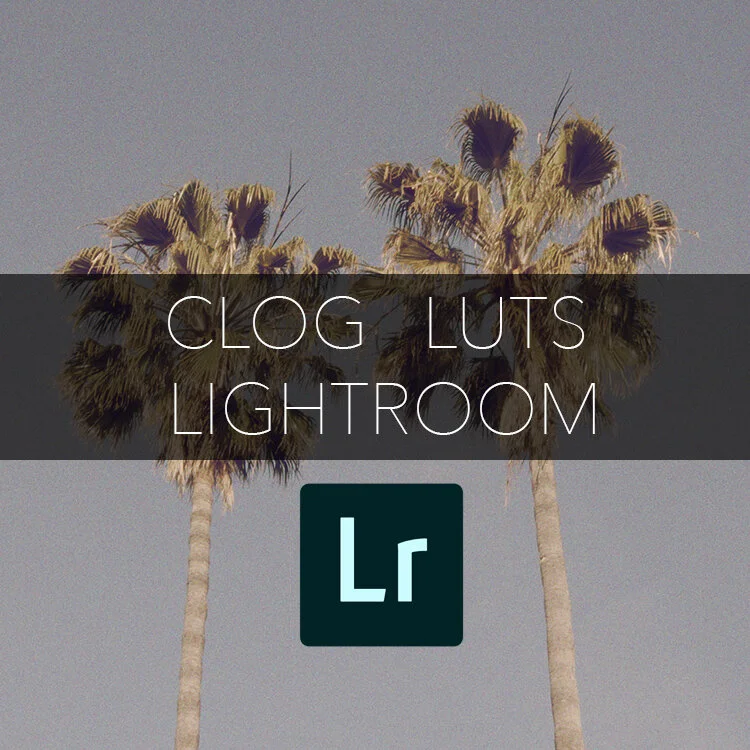 Lightroom // CLOG LUTS