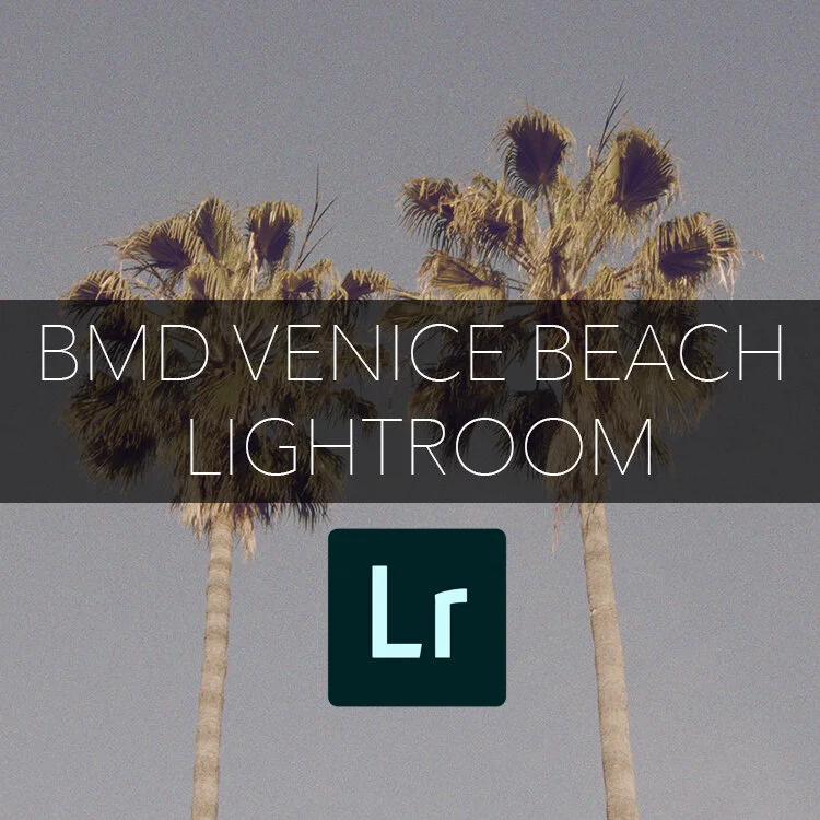 Lightroom // BMD Venice Beach LUTS