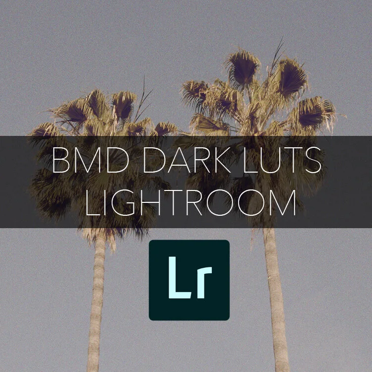 Lightroom // BMD Dark LUTS