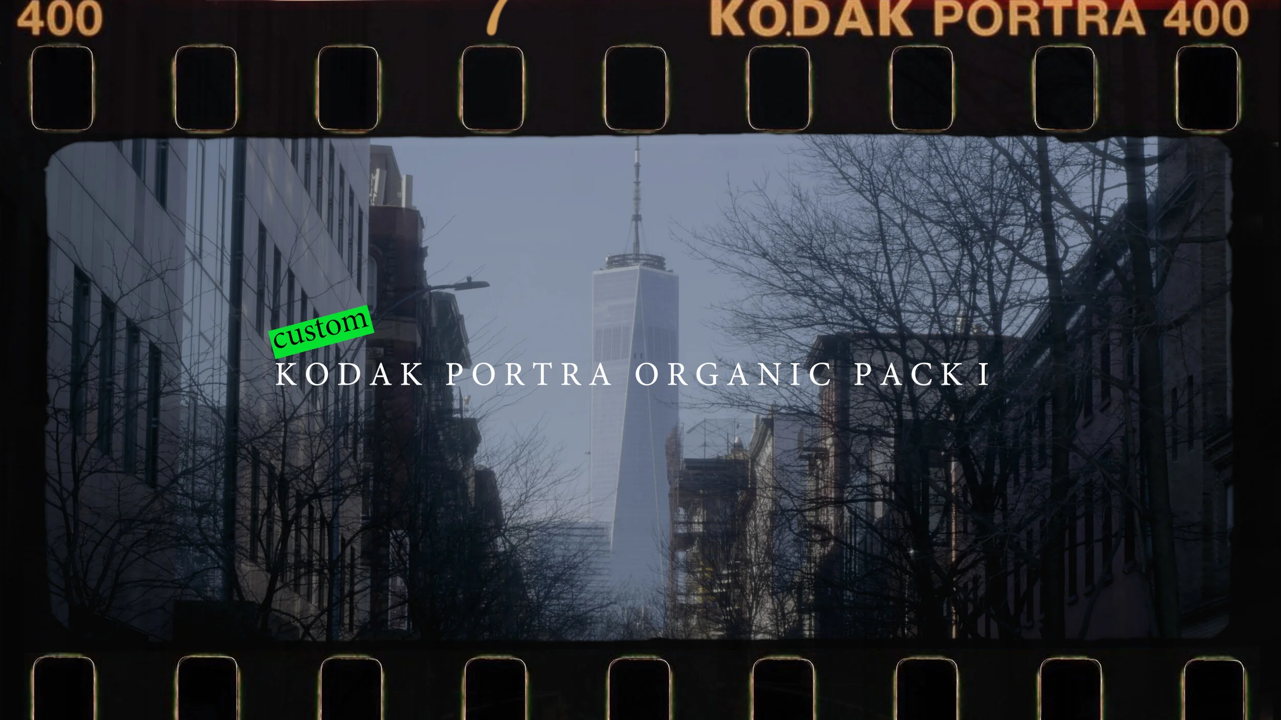 Kodak Portra Organic Pack I