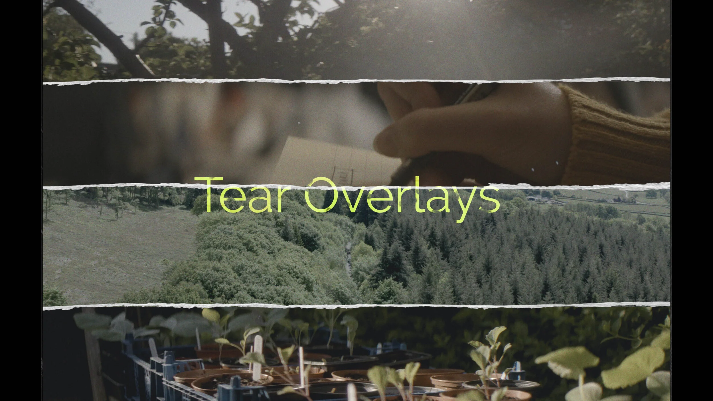 Tear Overlays