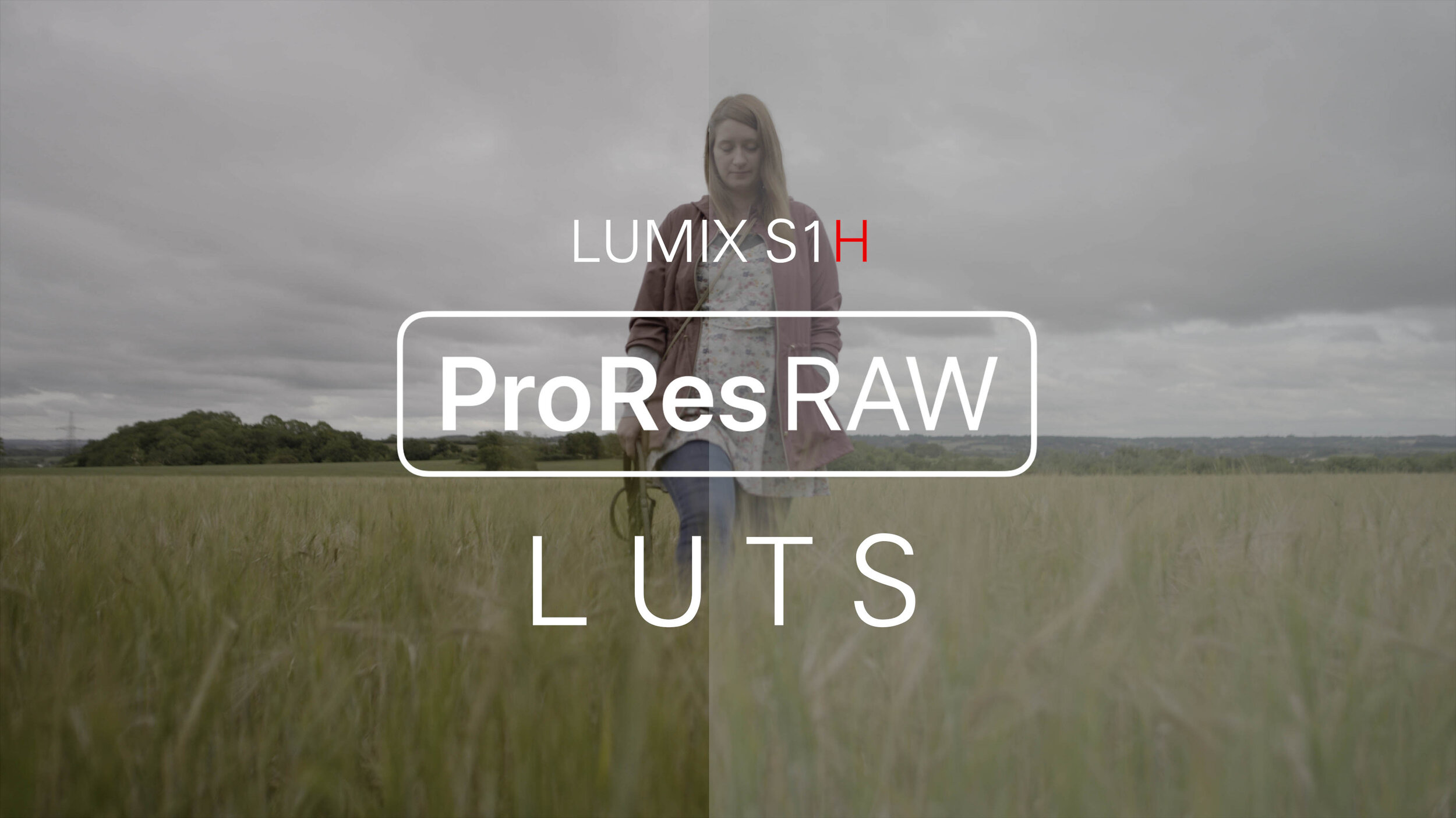 LUMIX S1H ProresRAW LUTS
