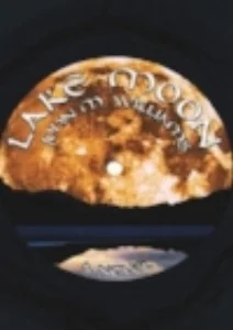 lakemoon1.jpg