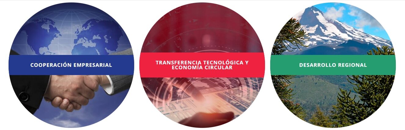 OUR BEST OF DECEMBER CIRCULAR ECONOMY EVENTS #2