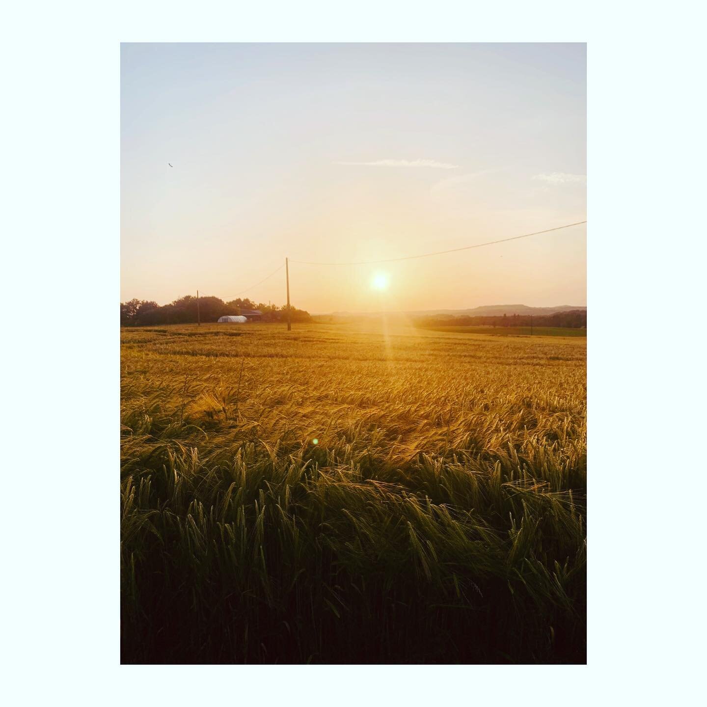 First sunset of the season looking strong ⭐️ #france #bourlens #frenchholiday #frenchhome #frenchhouse #frenchholidayhome #frenchholidays #frenchholiday #francefarmhouse #holiday #frenchvibes #frenchchic #frenchstyle