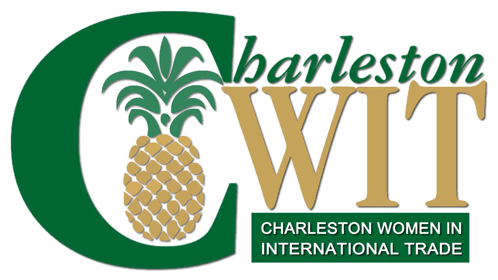 CWIT_logo_White (2).png