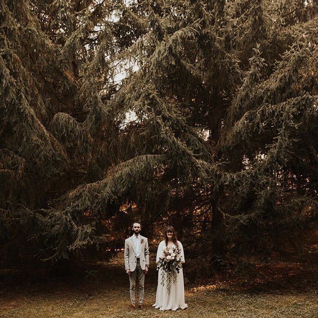 kendra &amp; robby tucked under the pine trees - just married. ✨