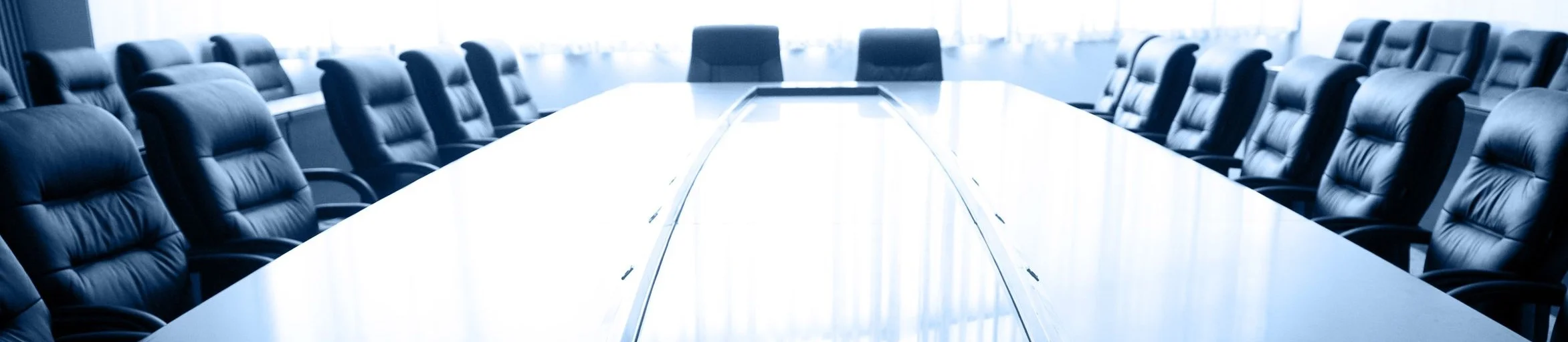 board_of_directors_banner.jpg