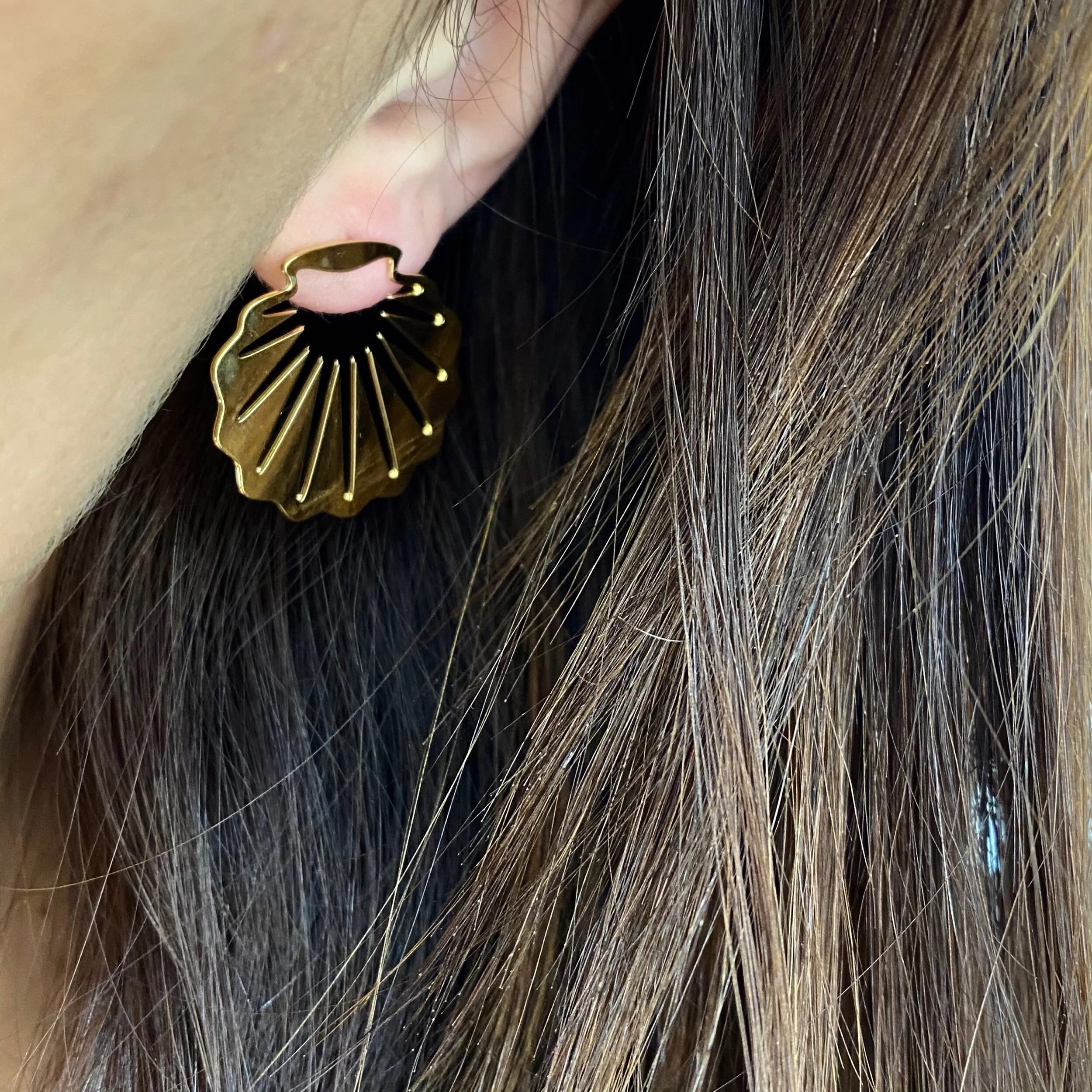 8D9EF2D0-7BB2-4B06-8677-698DE981E5B9