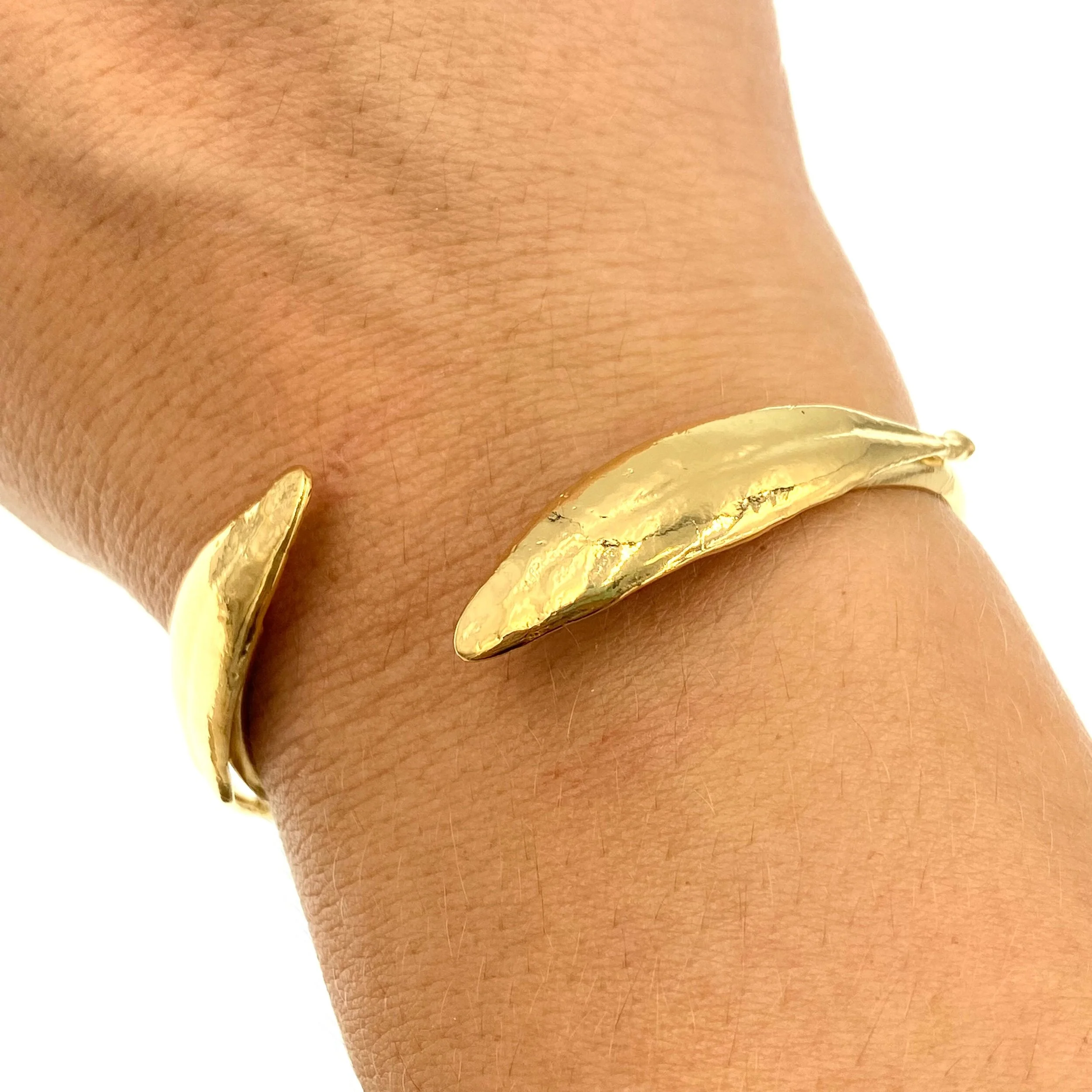 9061A545-1945-454E-9712-F5FA84C208E9