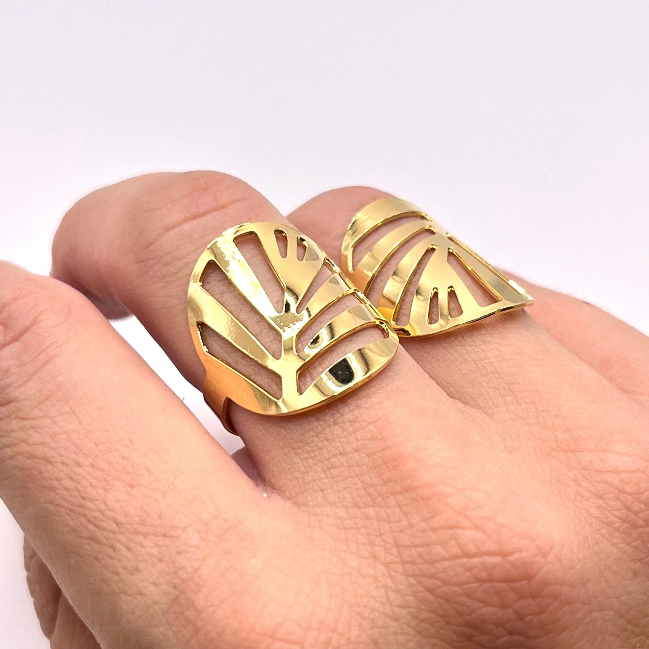 FFF1D5B1-4EBA-498D-9222-F008F7E841BB