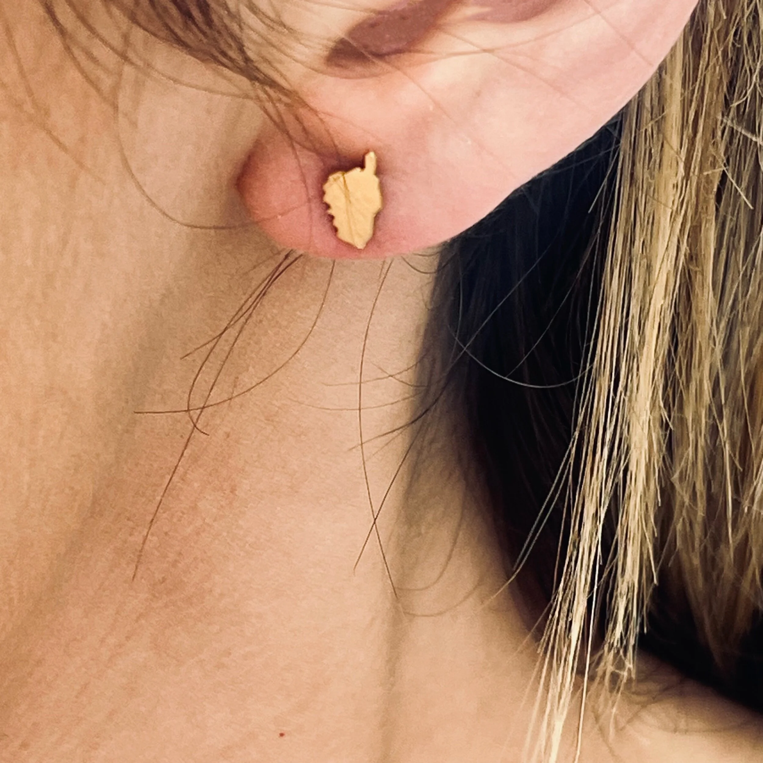 3F8C6A31-DB44-4133-ACC4-8F619F0E5CF2