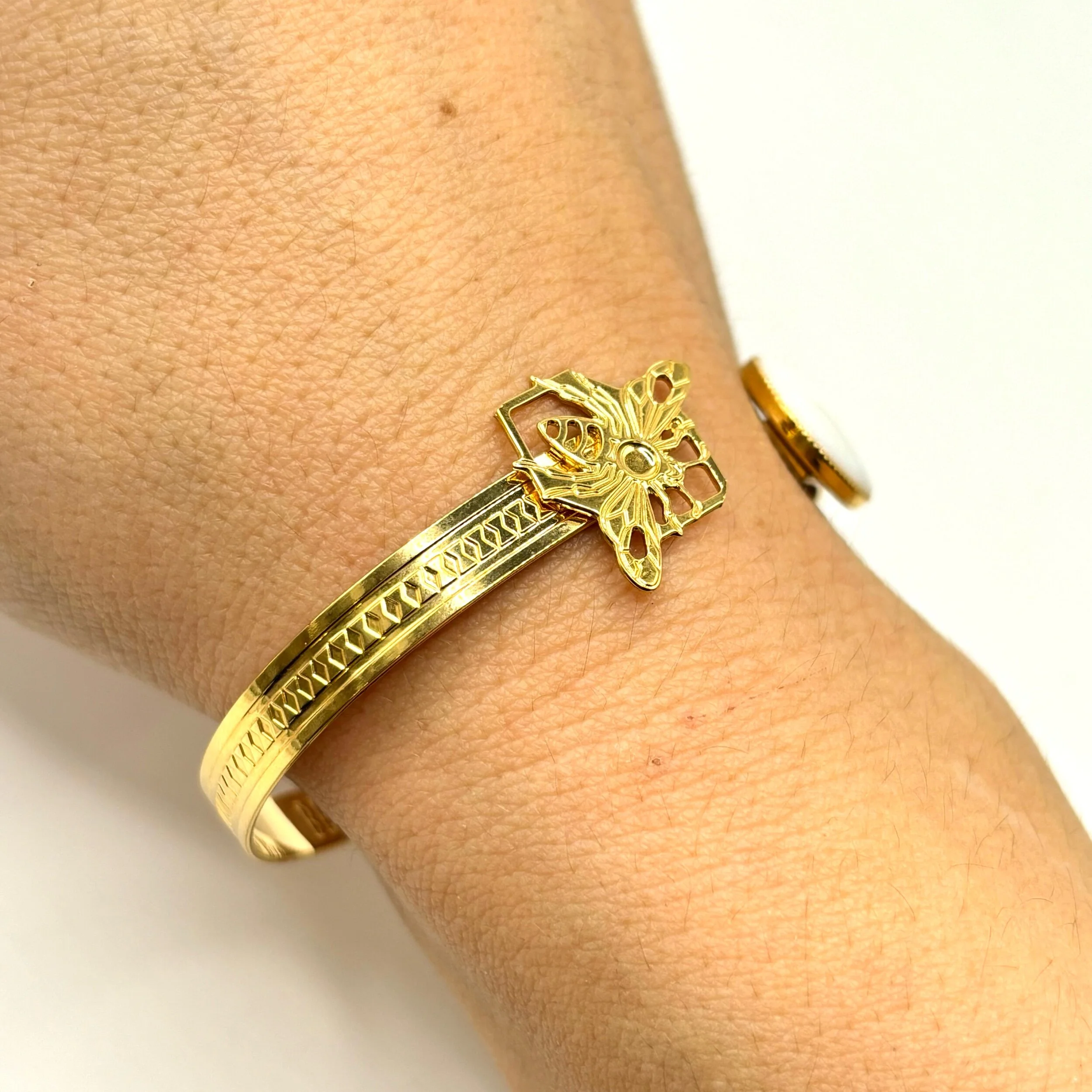 A5B988D5-23DB-4A09-BC58-473D2AD84276