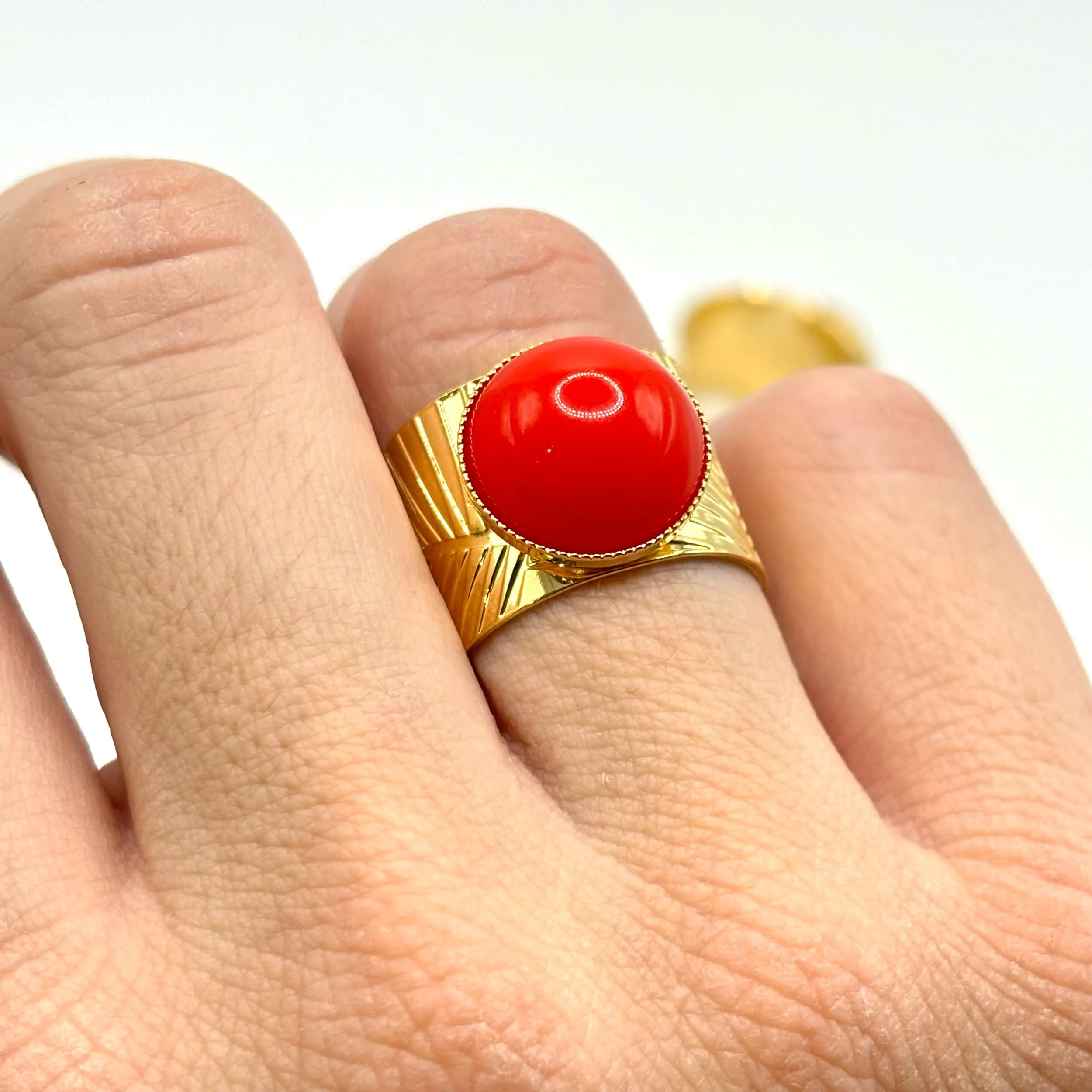 F4E9A4F2-0978-49FE-B8F1-61332EB7544A