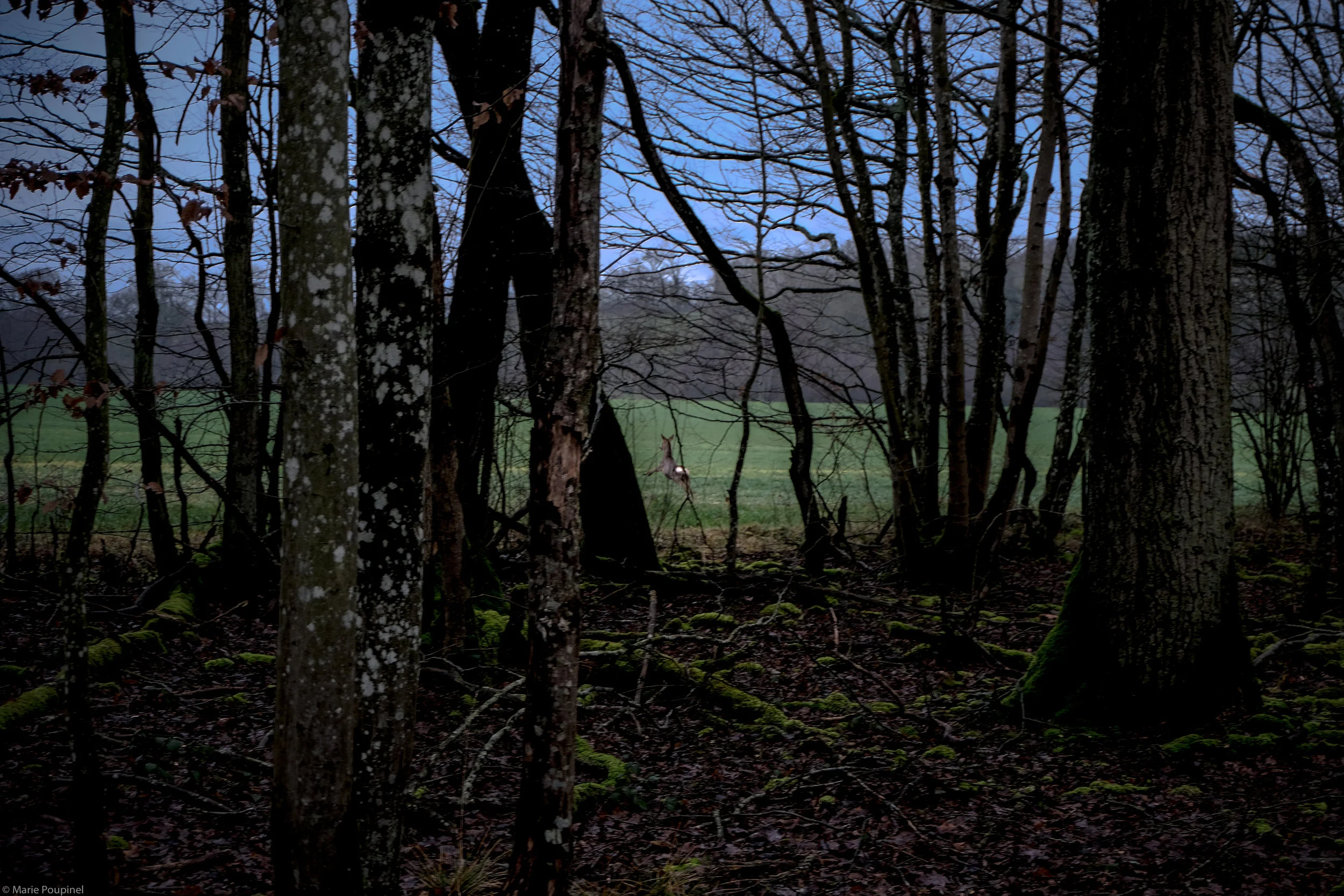 DSCF2148.jpg
