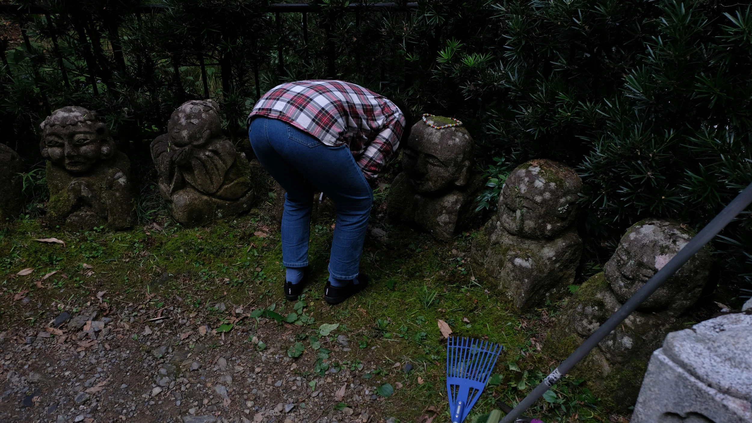 DSCF7776.jpg