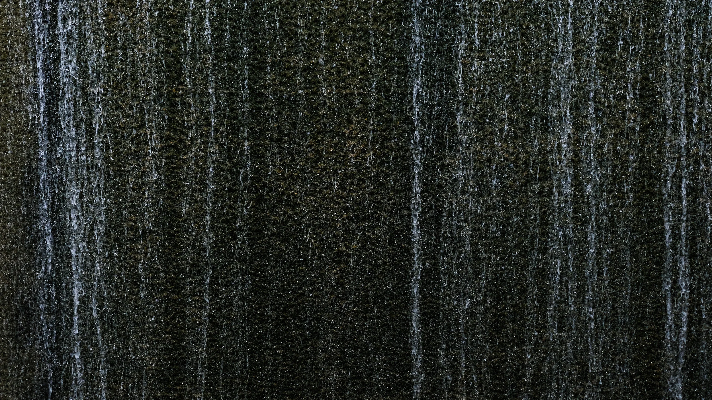 DSCF7538.jpg