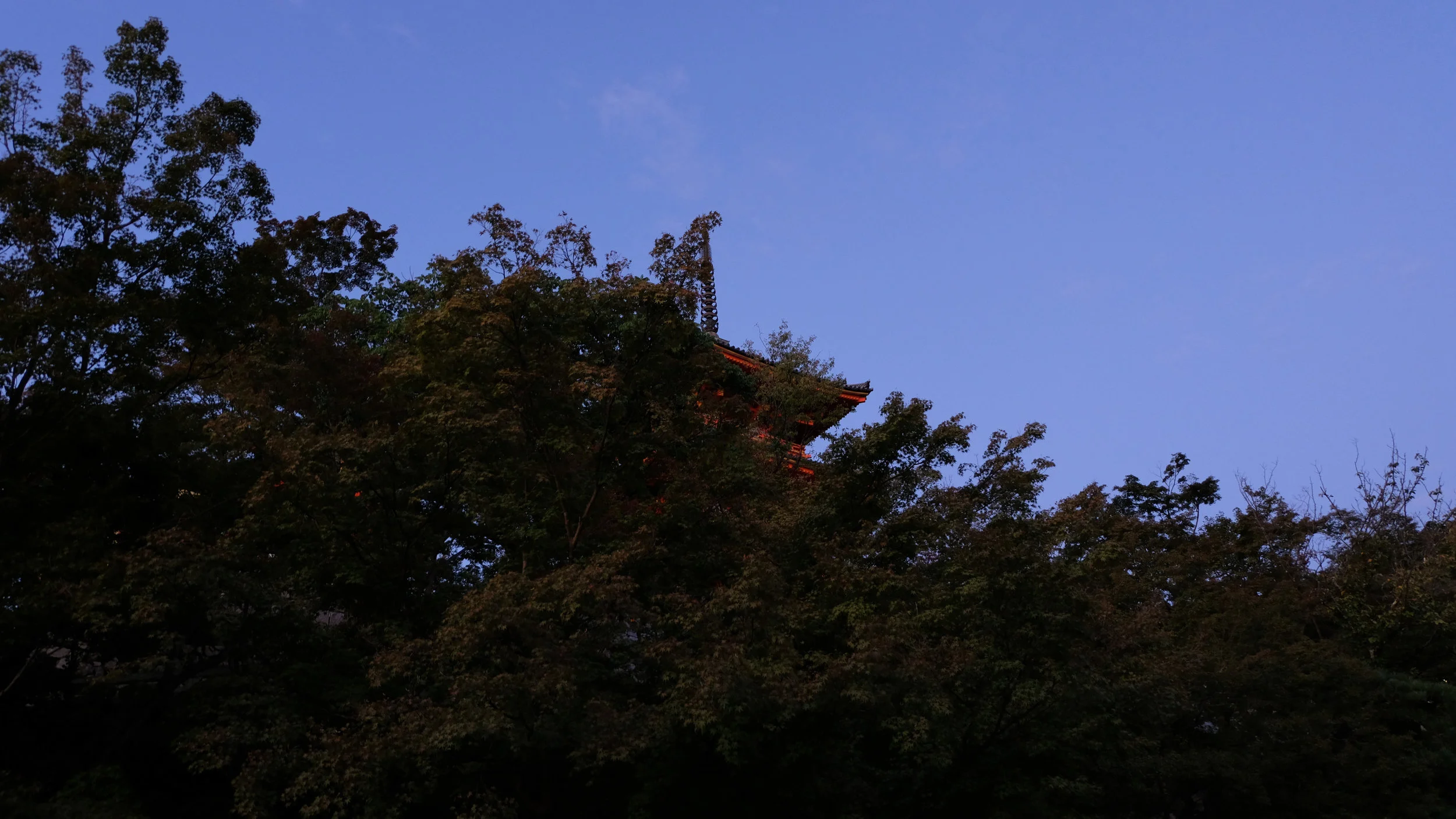 DSCF7161.jpg