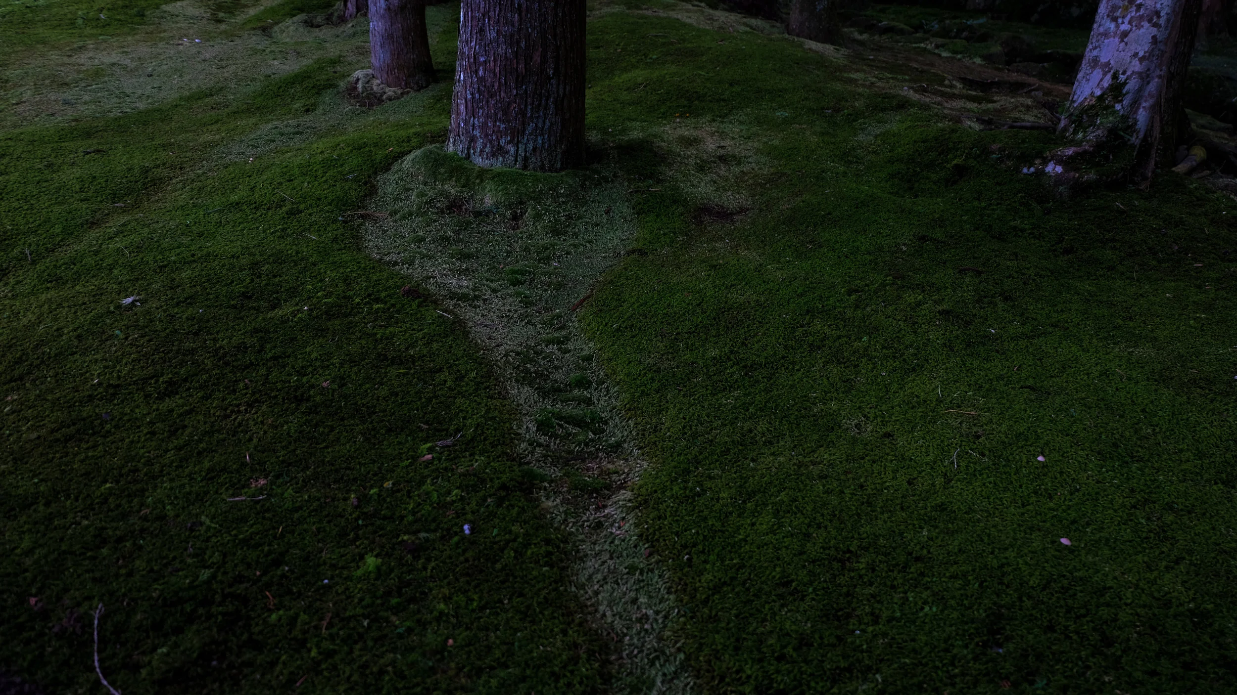 DSCF6967-2.jpg