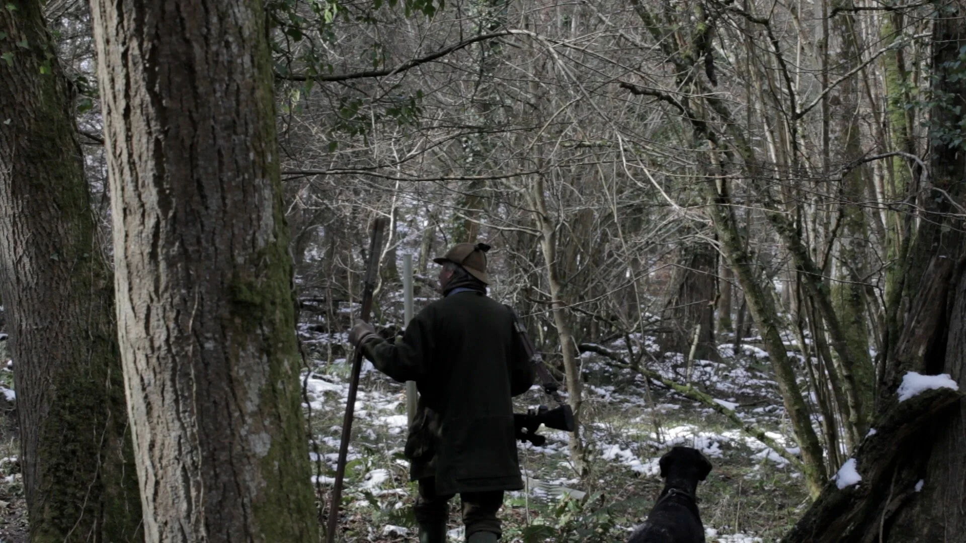 salking in snow.jpg
