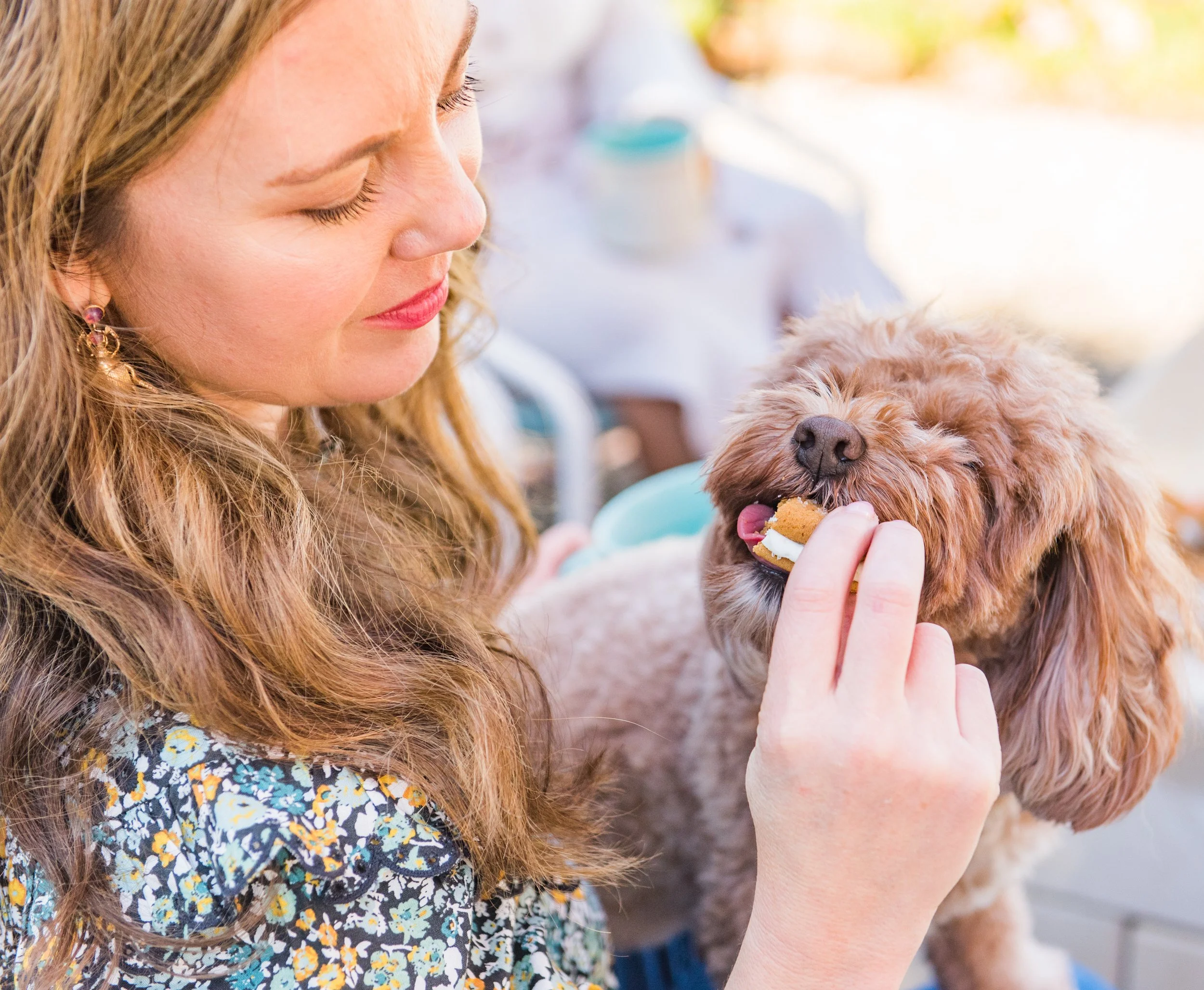 A (Dog) Home for the Holidays