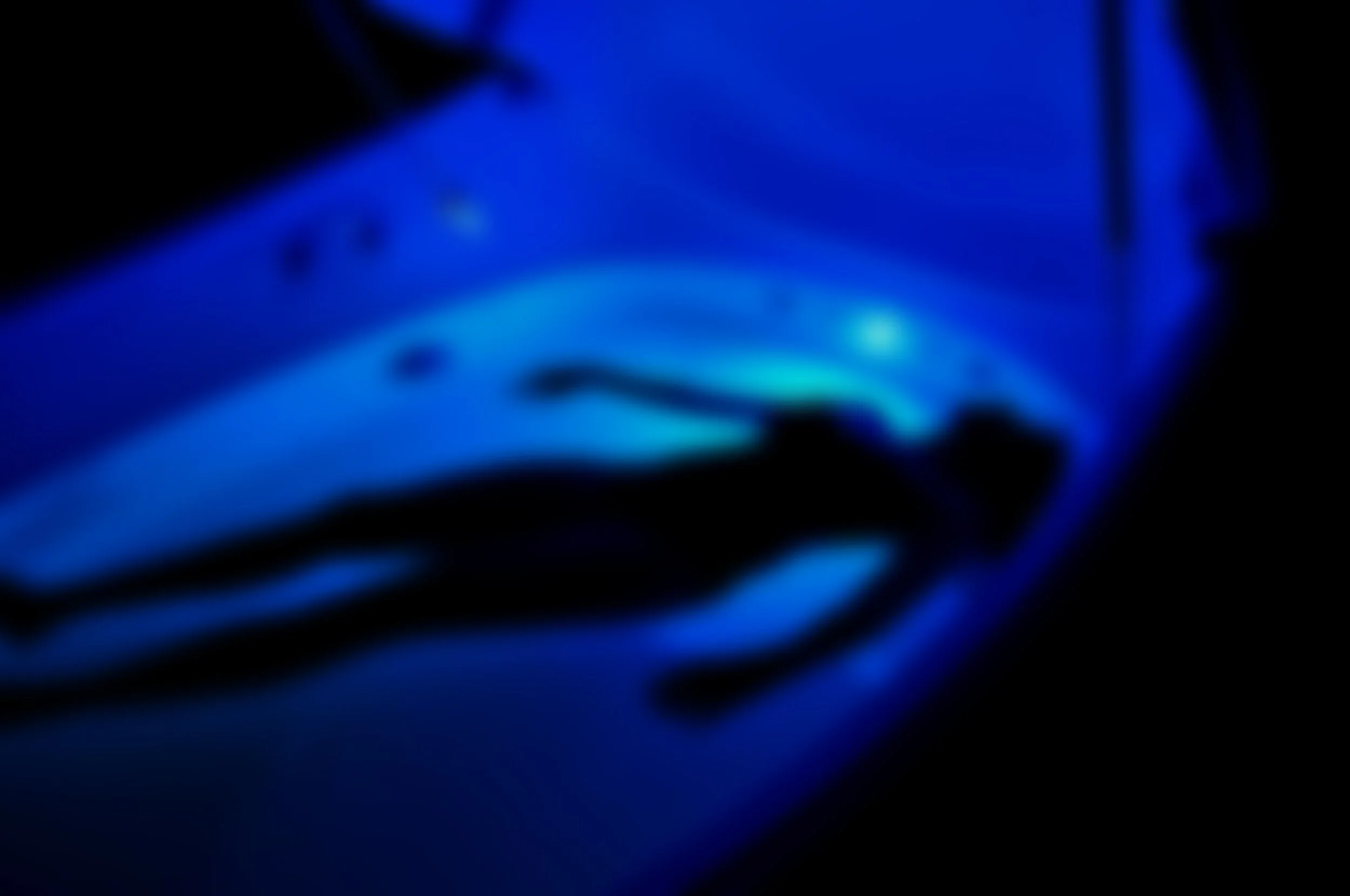 gal14.jpg