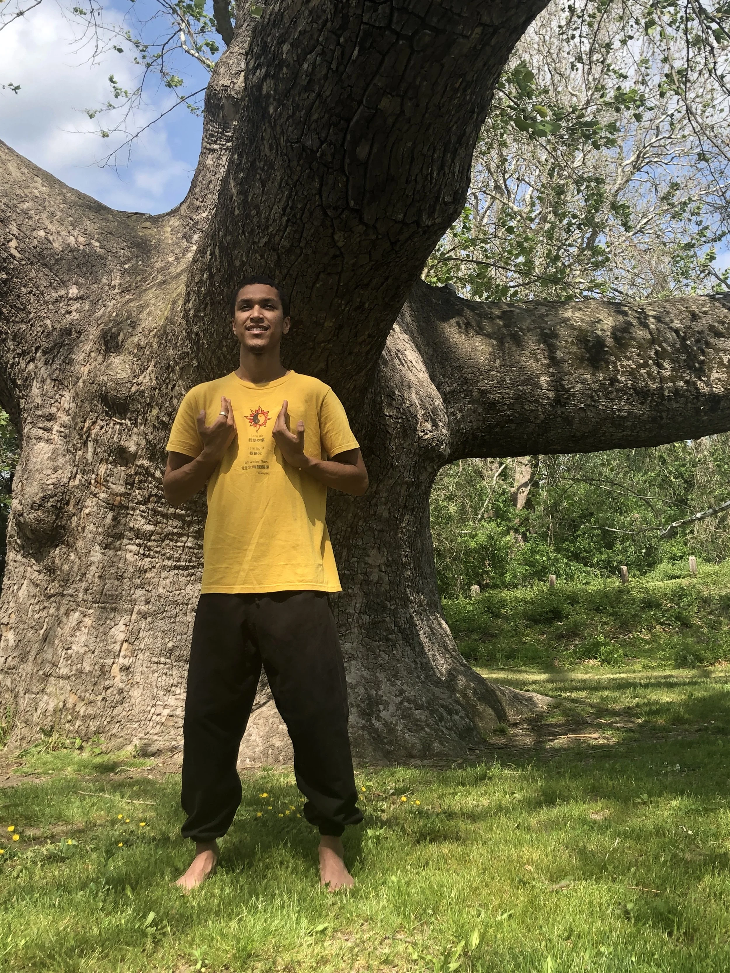 One Day Fengyang Qi Gong Class