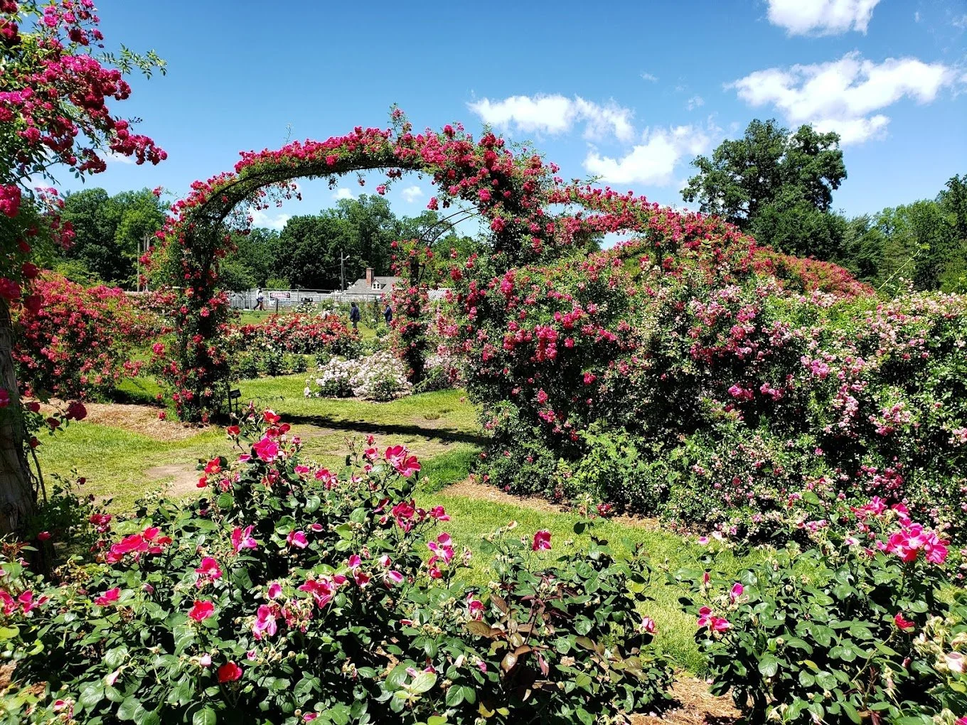 Free Fengyang Qi Gong class in Elizabeth Park, West Hartford CT