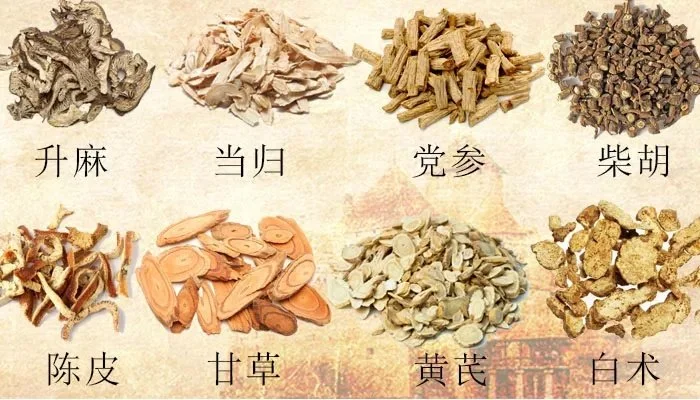 补中益气汤的药材组成